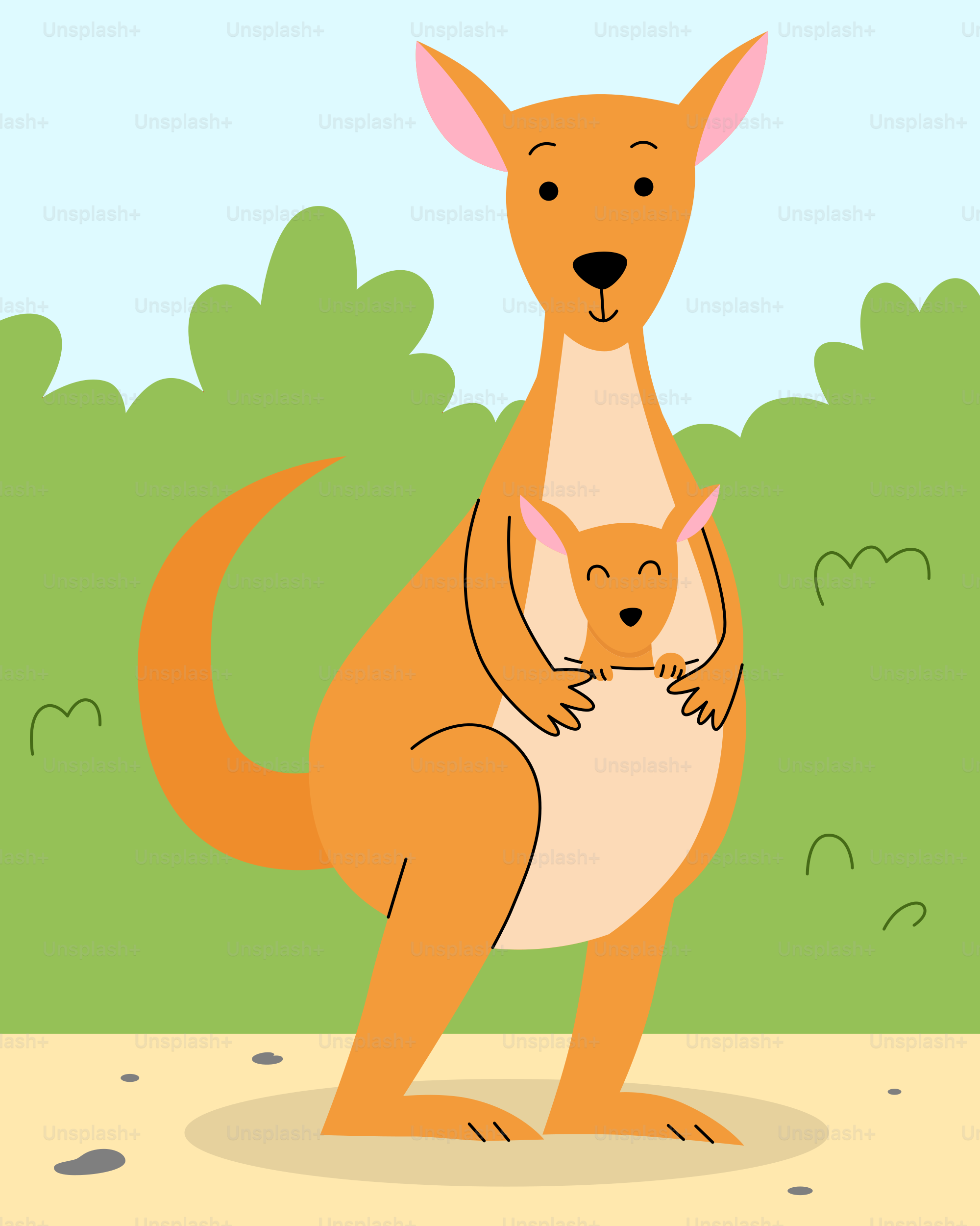 A kangaroo holding a baby in its arms