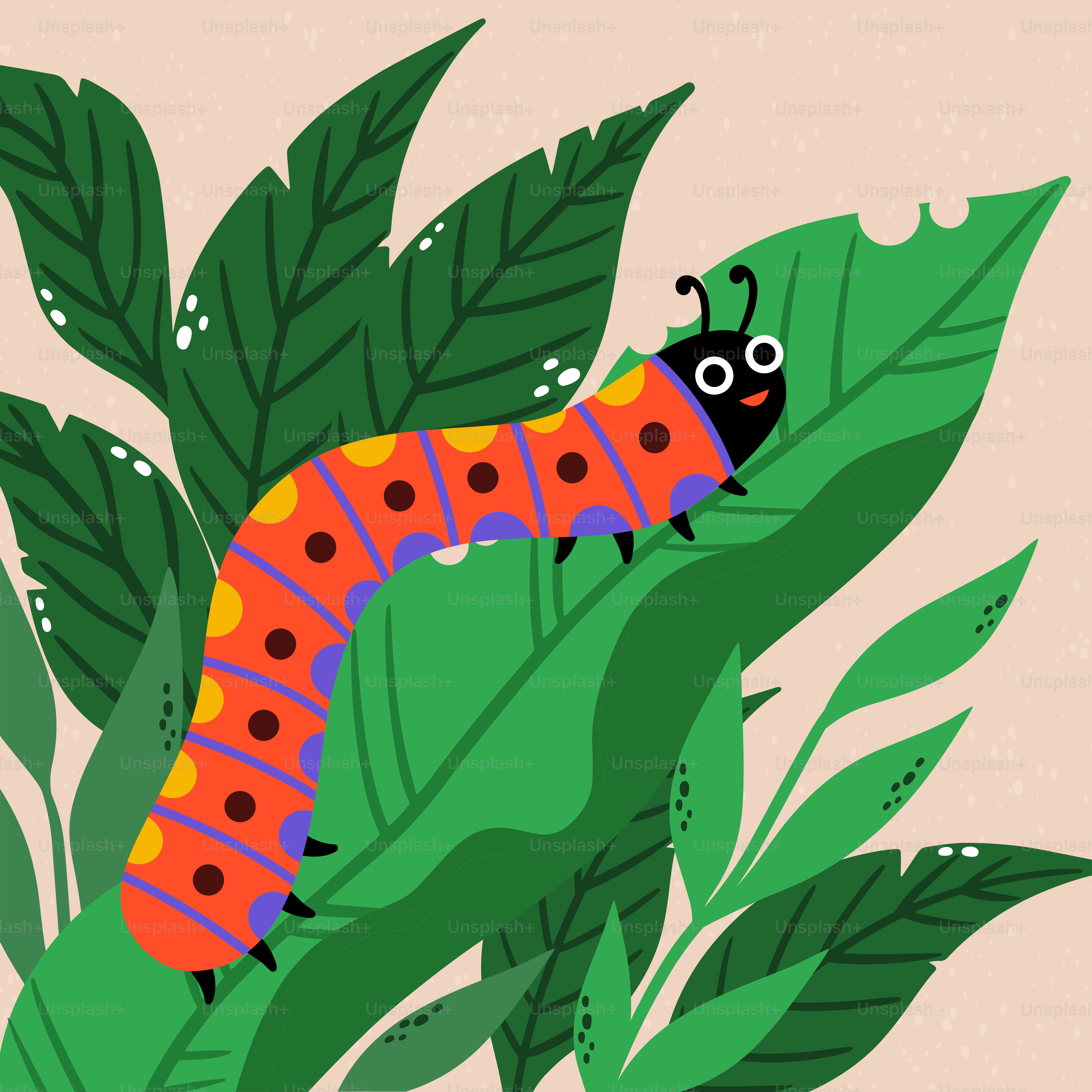 Une chenille colorée posée sur une feuille verte