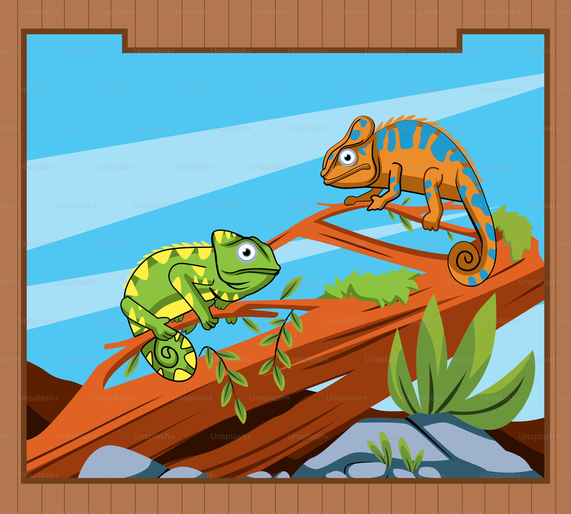 A picture of a chamelon and a chamelon on a branch