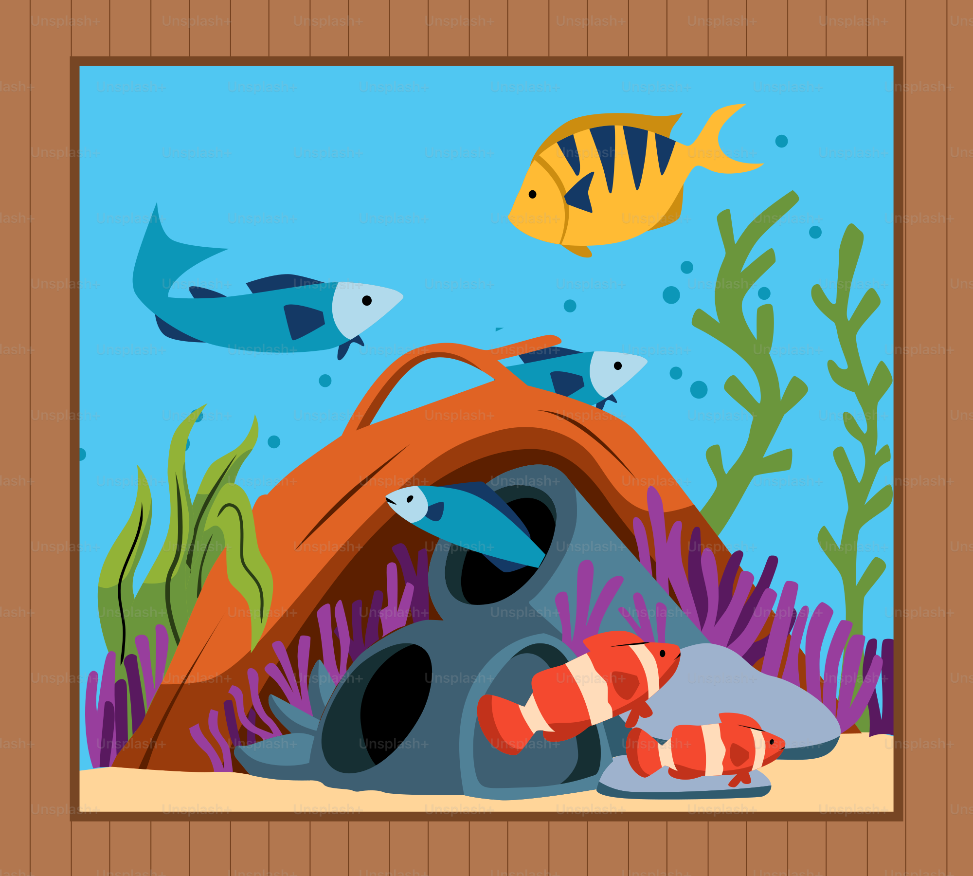 A picture of an underwater scene with fish