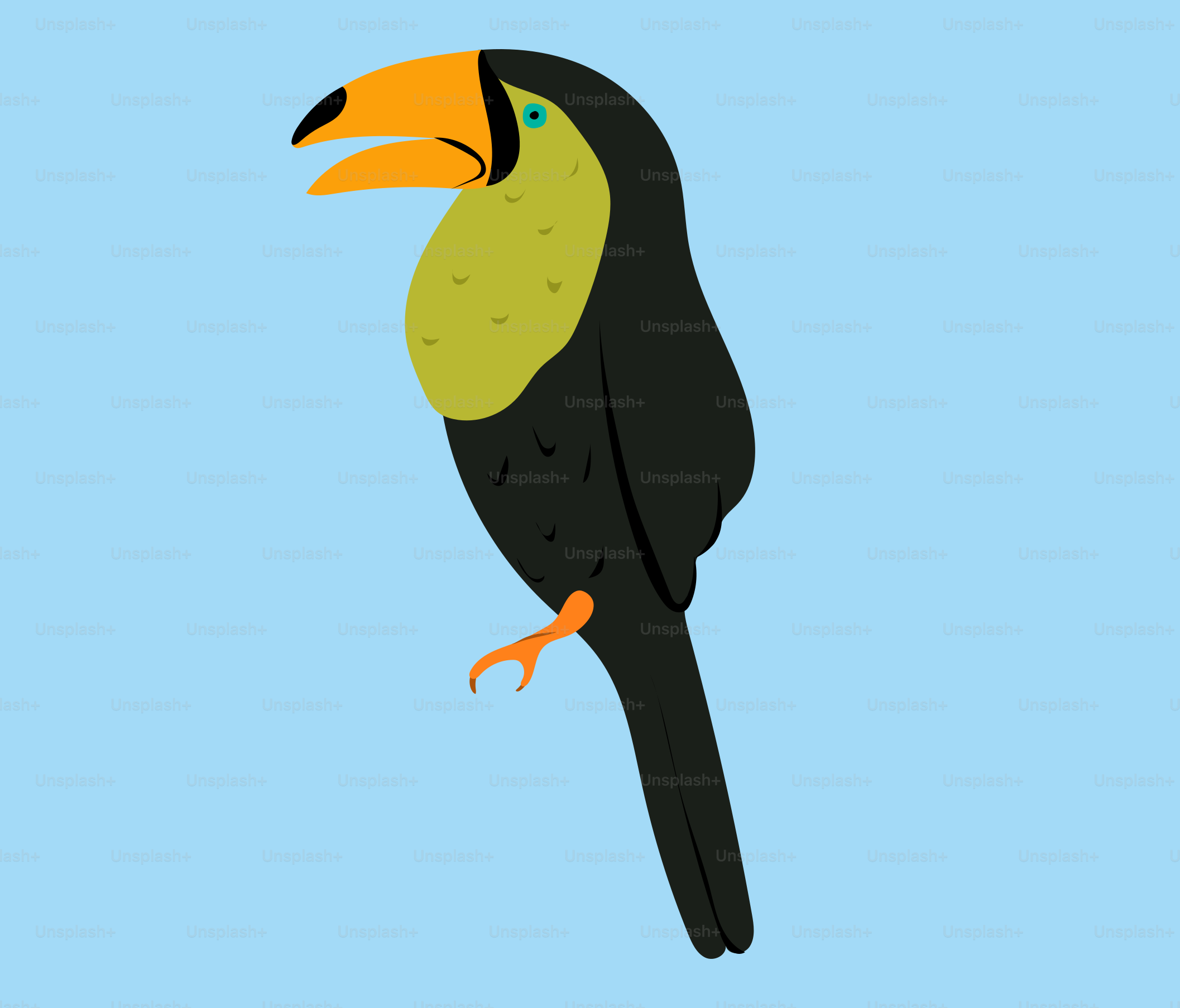 A black bird with a green and yellow beak