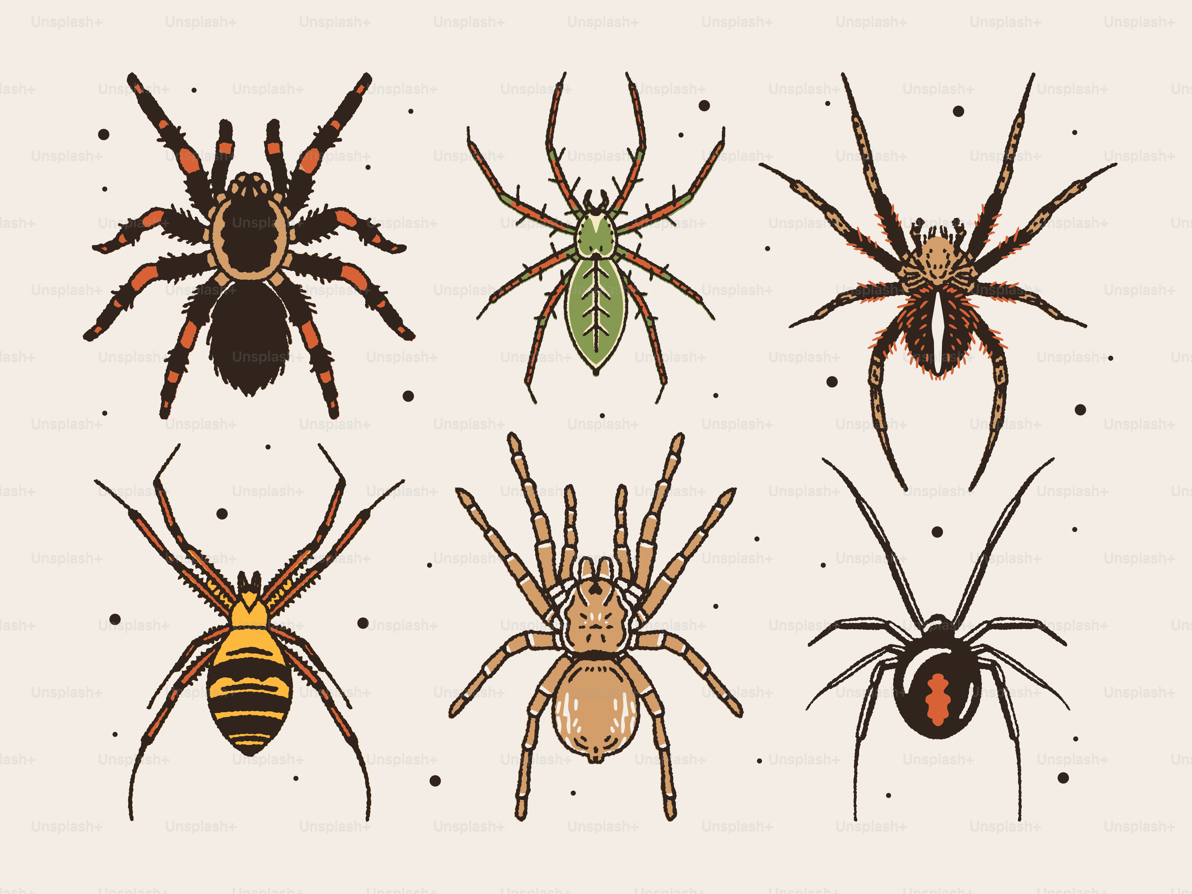 A group of spiders sitting on top of each other