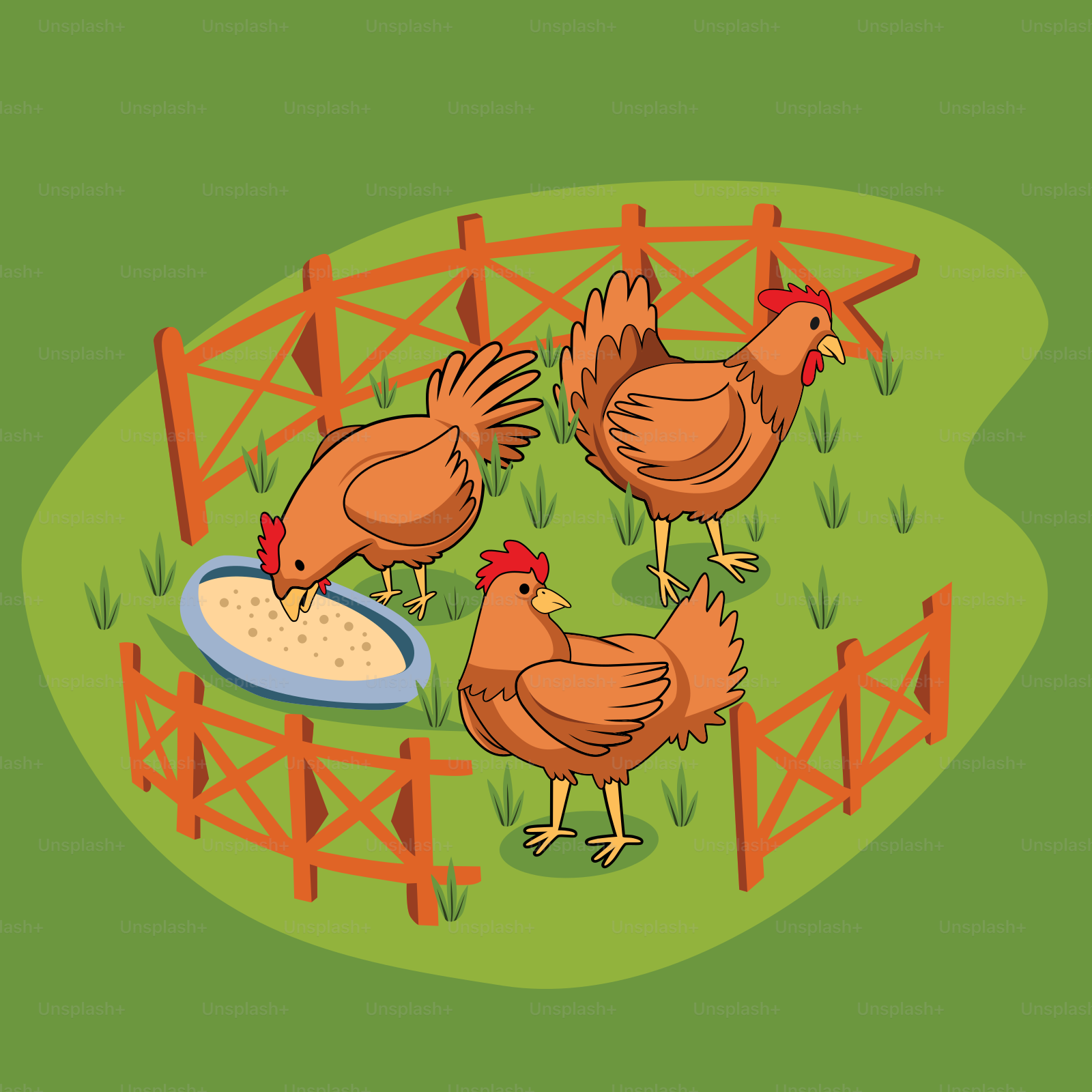 Un gruppo di galline in un'area recintata