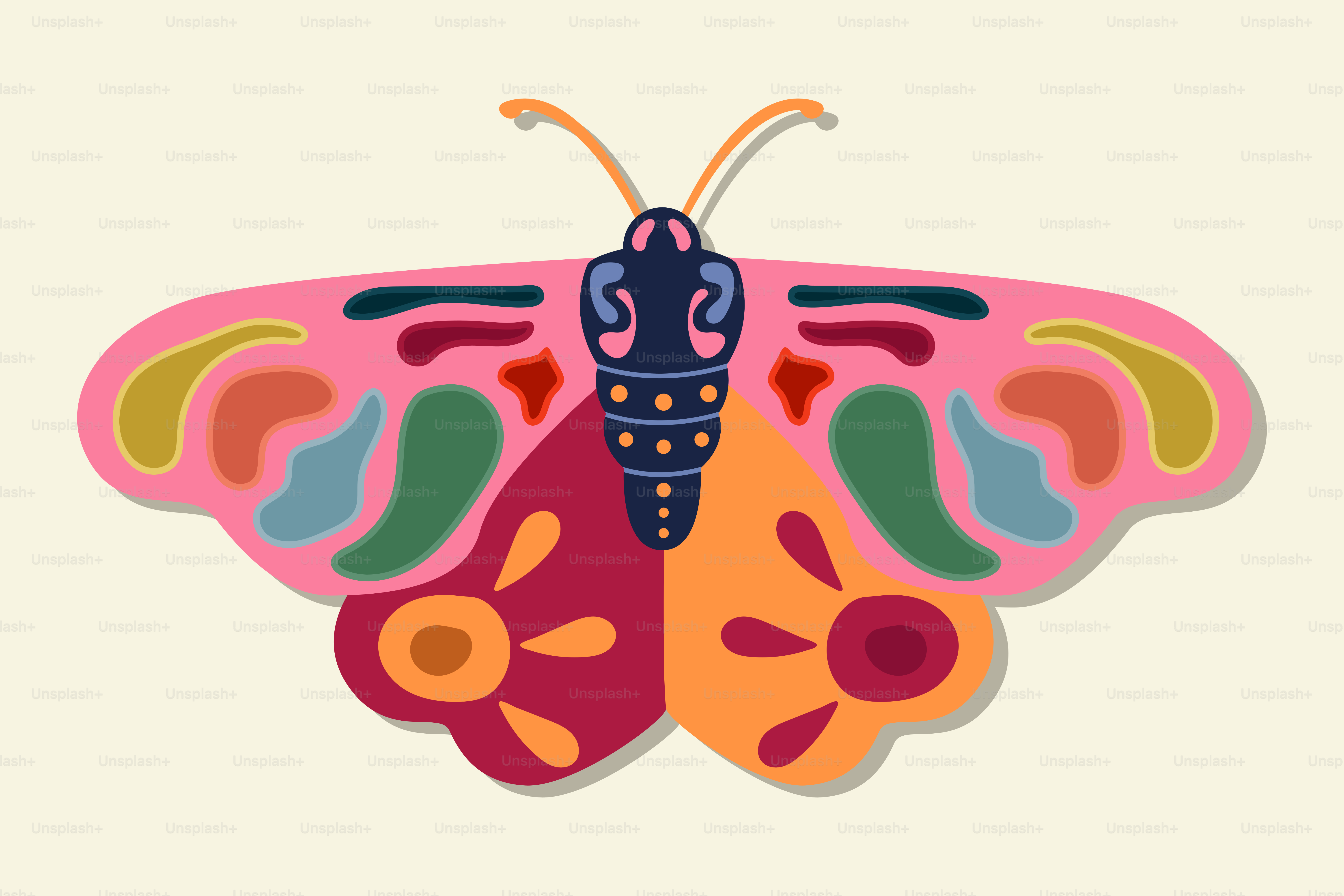 白い背景にカラフルな蝶