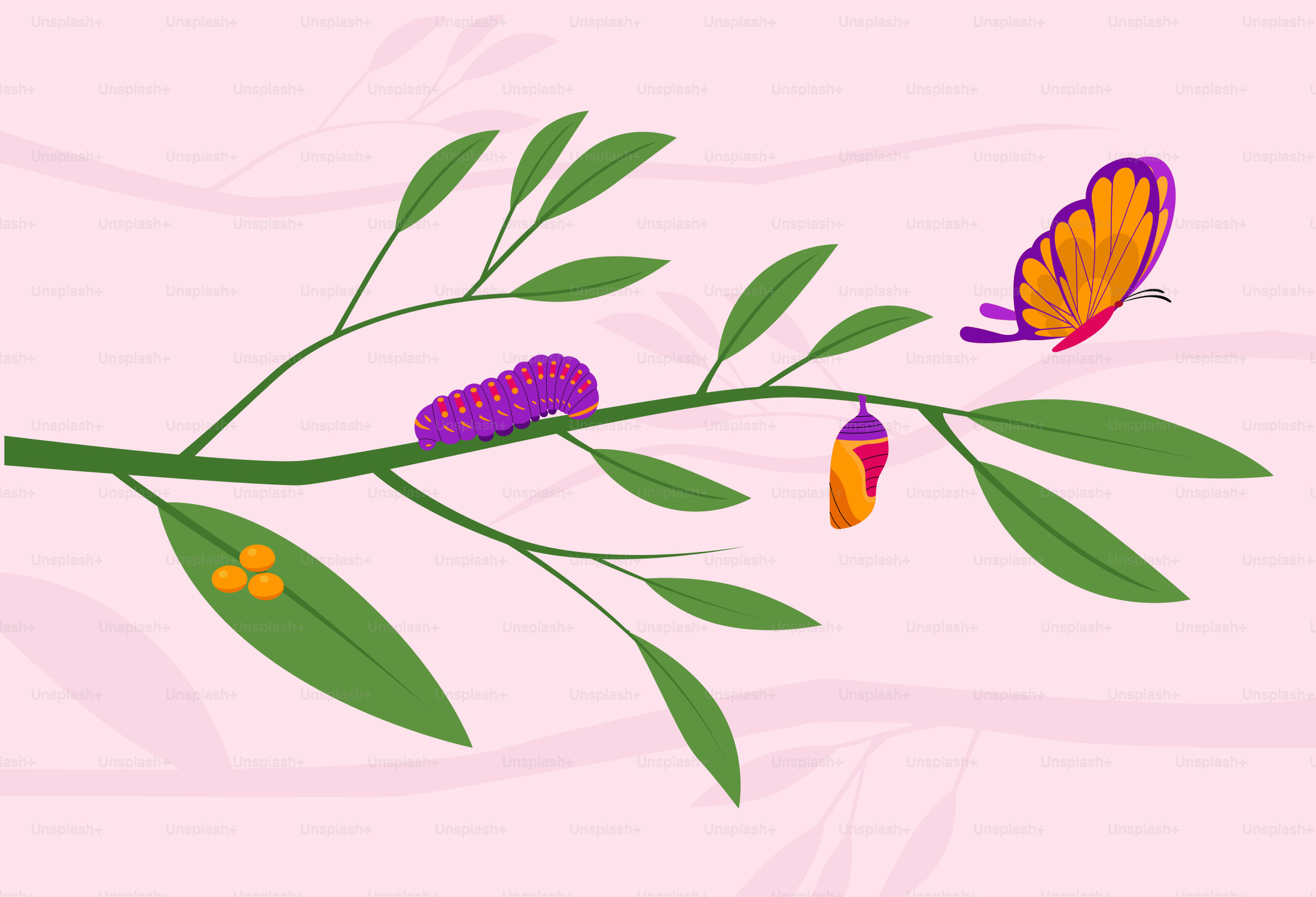 A picture of a butterfly and a caterpillar on a branch