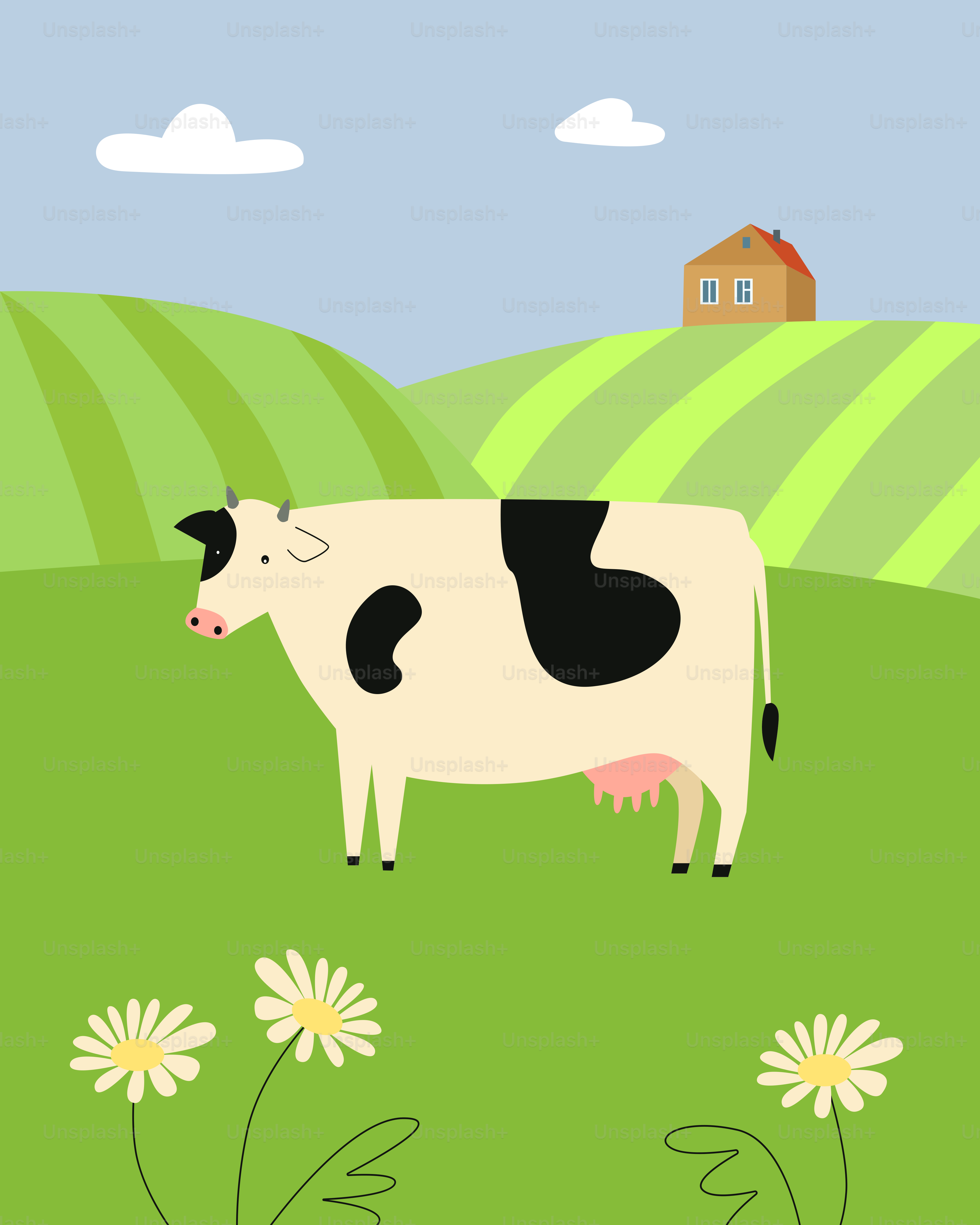 Un uomo in piedi accanto a una mucca bianca e nera vettoriale – Immagine di  Illustrazione su Unsplash, image size:3000x3750