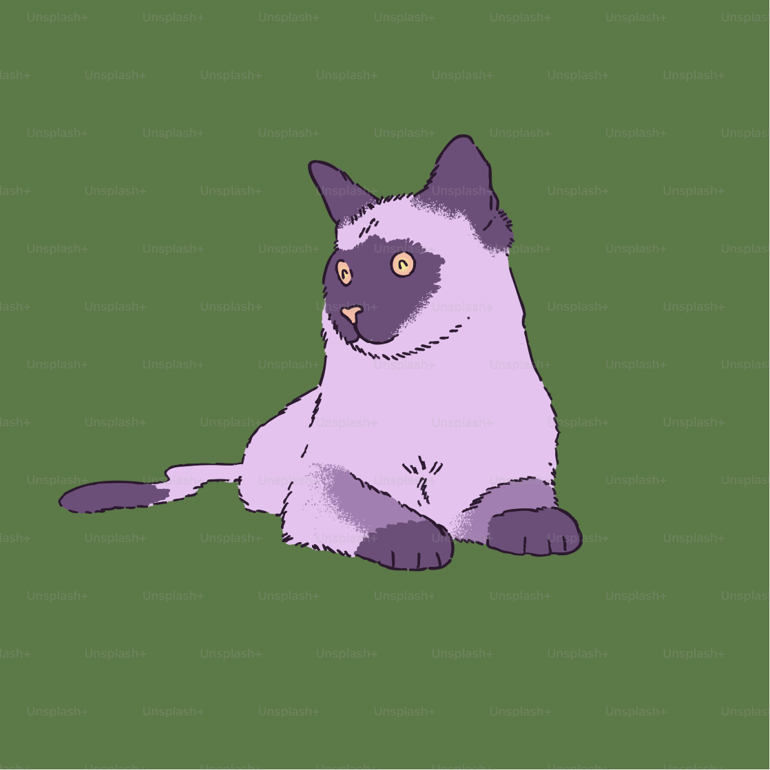 A picture of a cat sitting on the ground