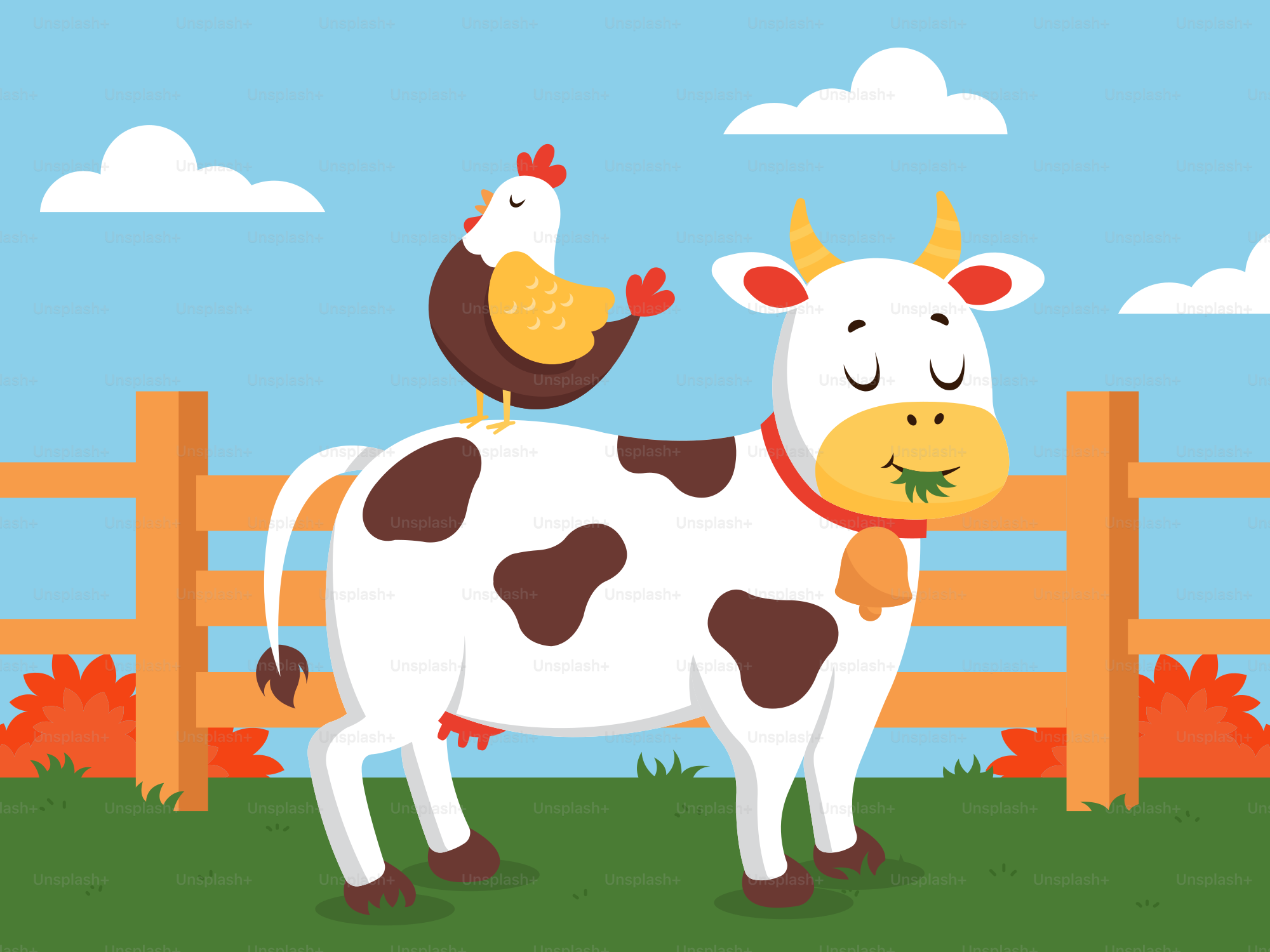 Eine Kuh mit einem Huhn auf dem Rücken, die vor einem Zaun steht