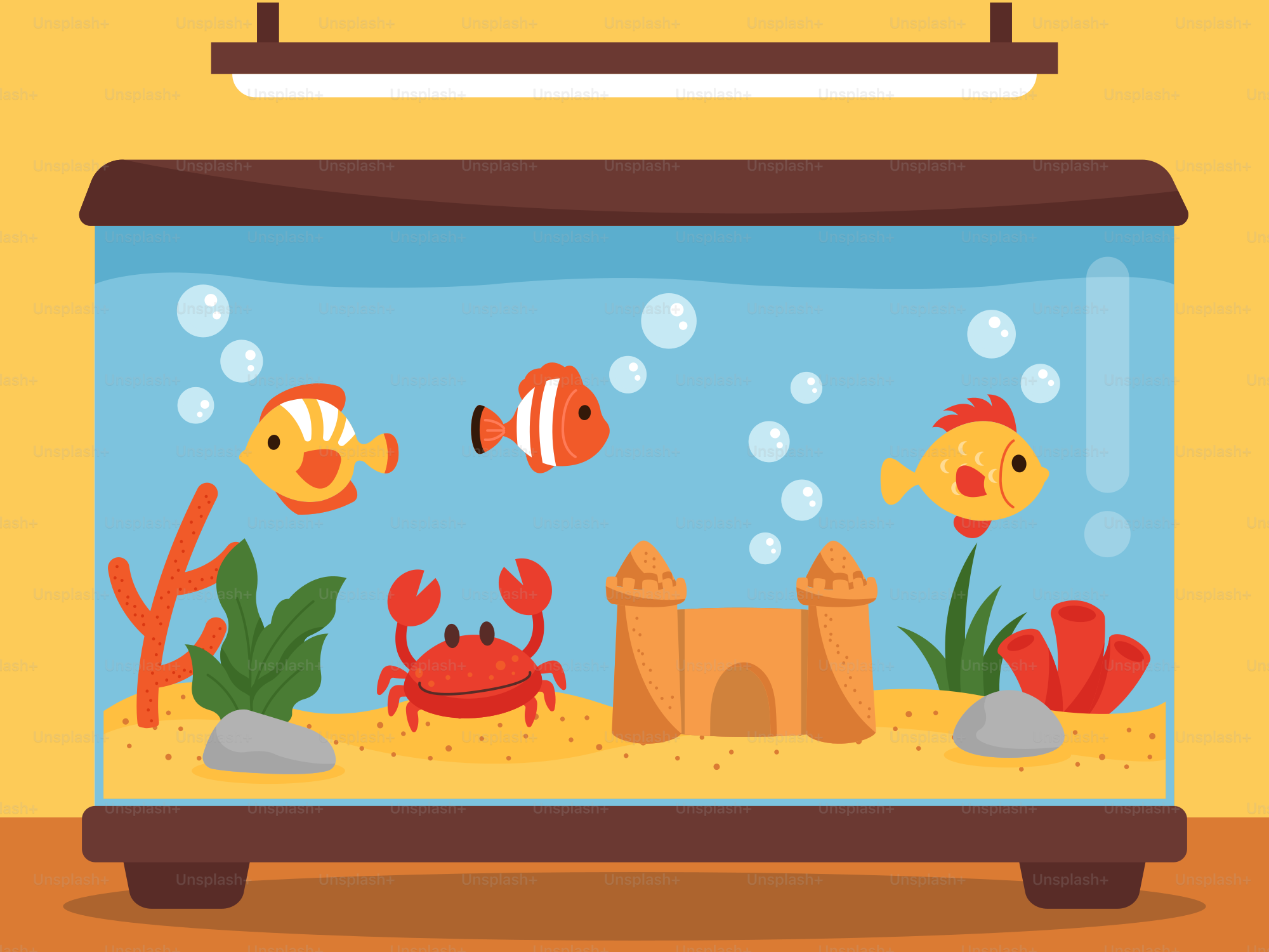 Ein Aquarium mit verschiedenen Fischarten