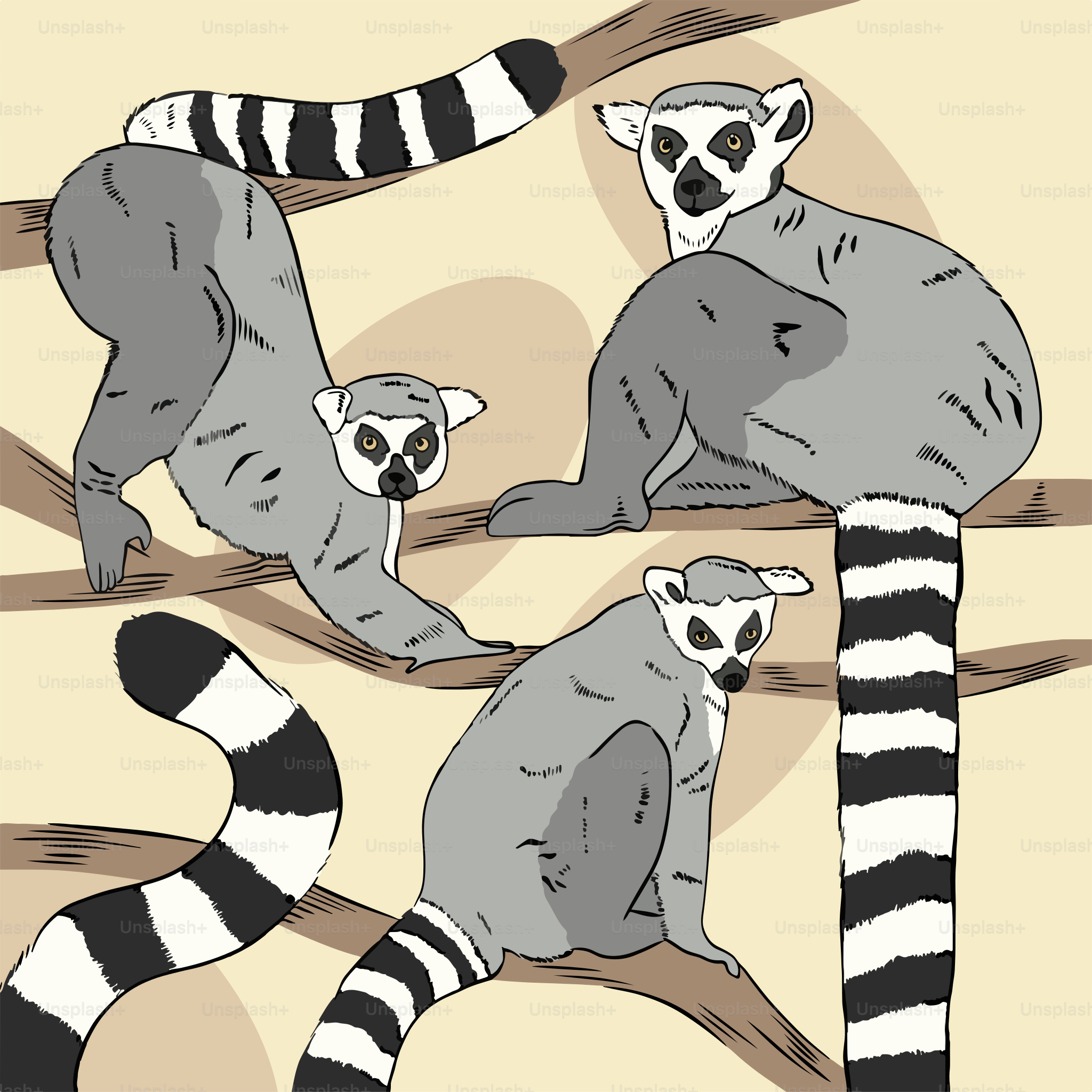 A group of lemurs sitting on top of a tree