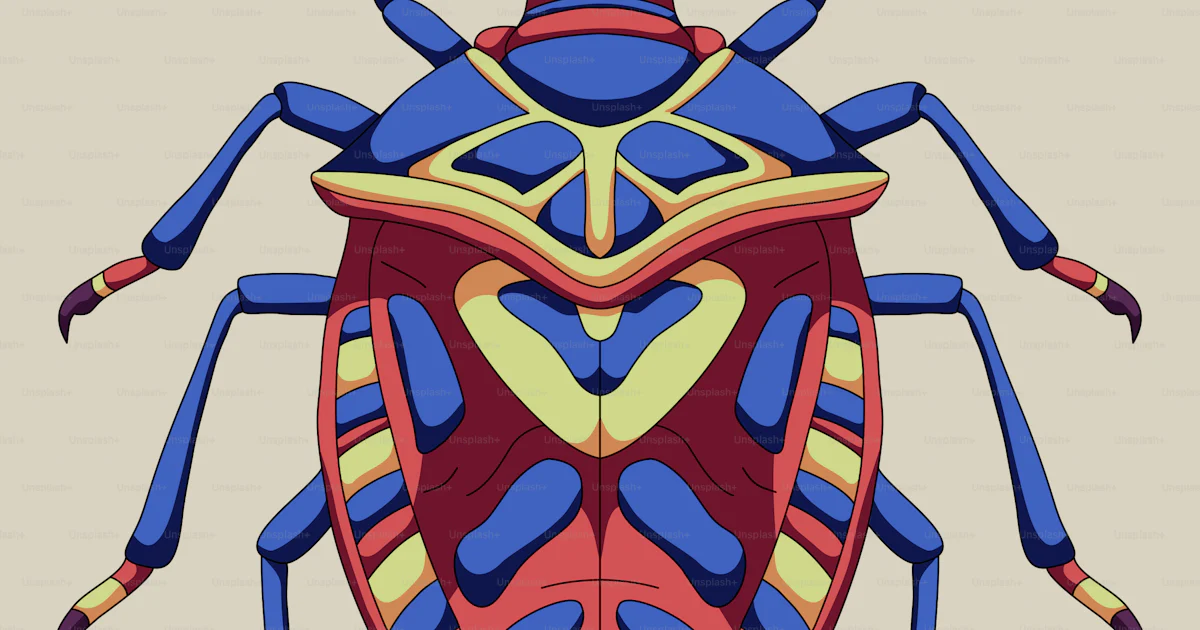 Insect Heart Model A bug with a heart on it's back vector – Insect Image on Unsplash