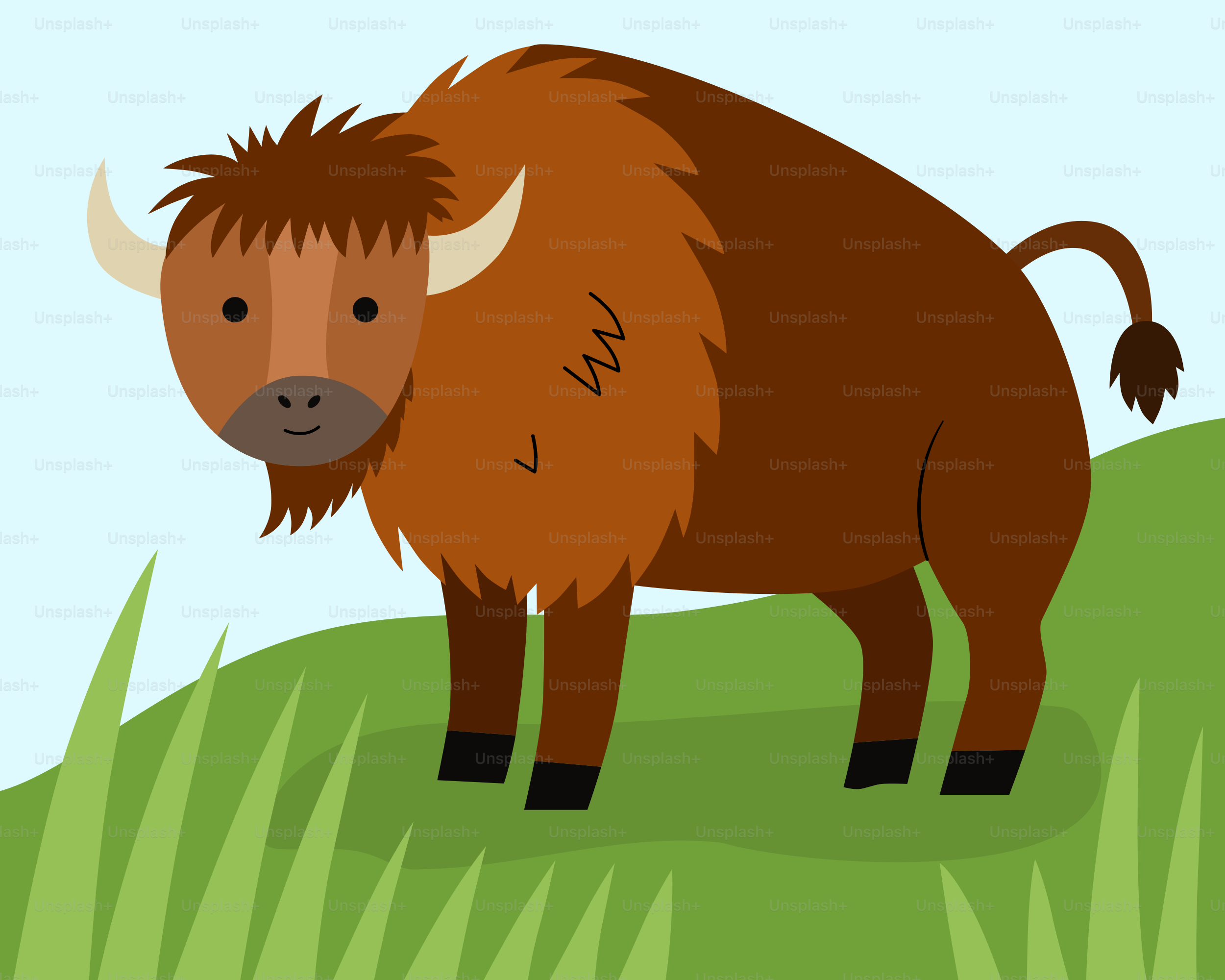 Un bison se tient dans un champ herbeux