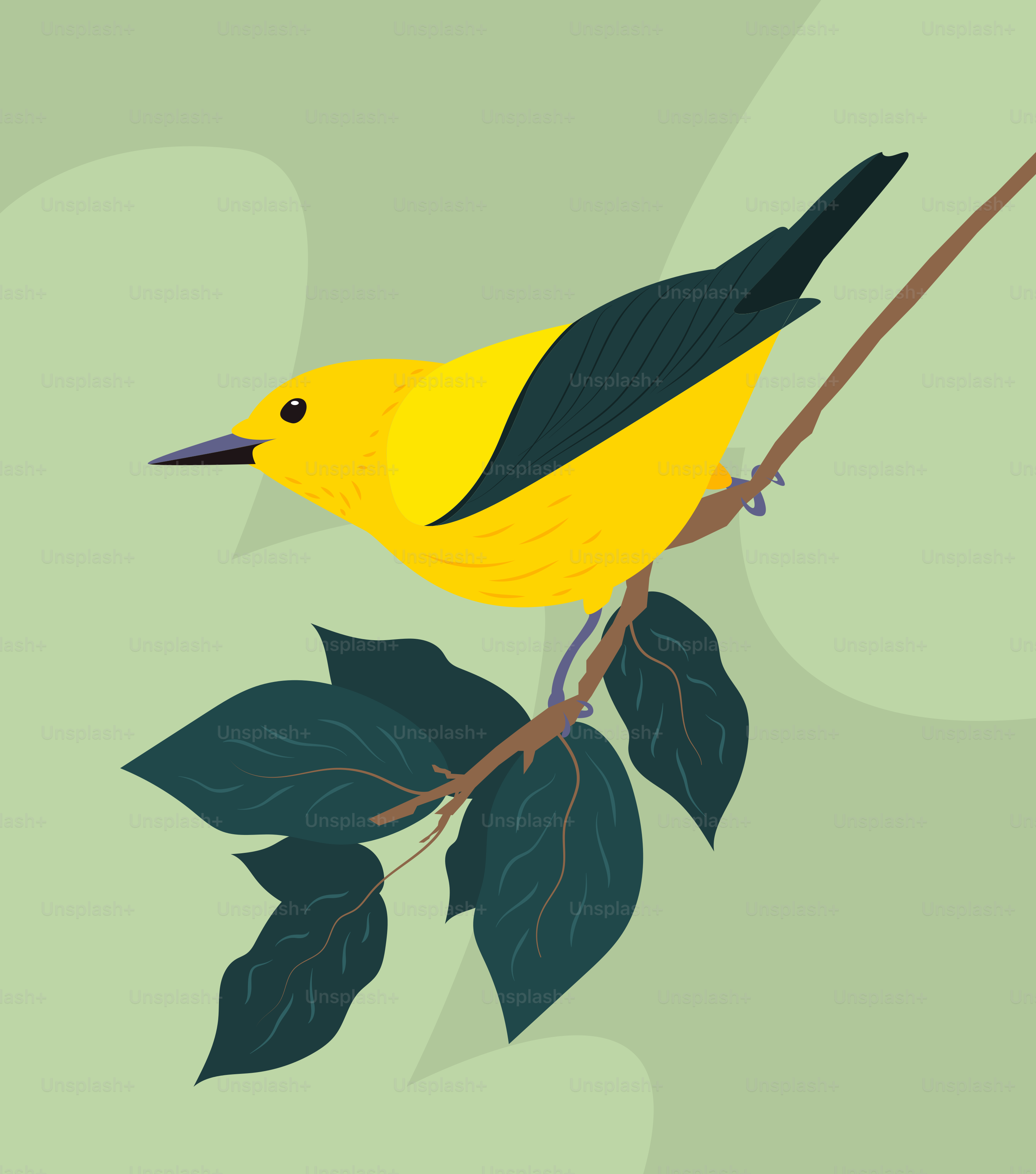 Un oiseau jaune et noir assis sur une branche