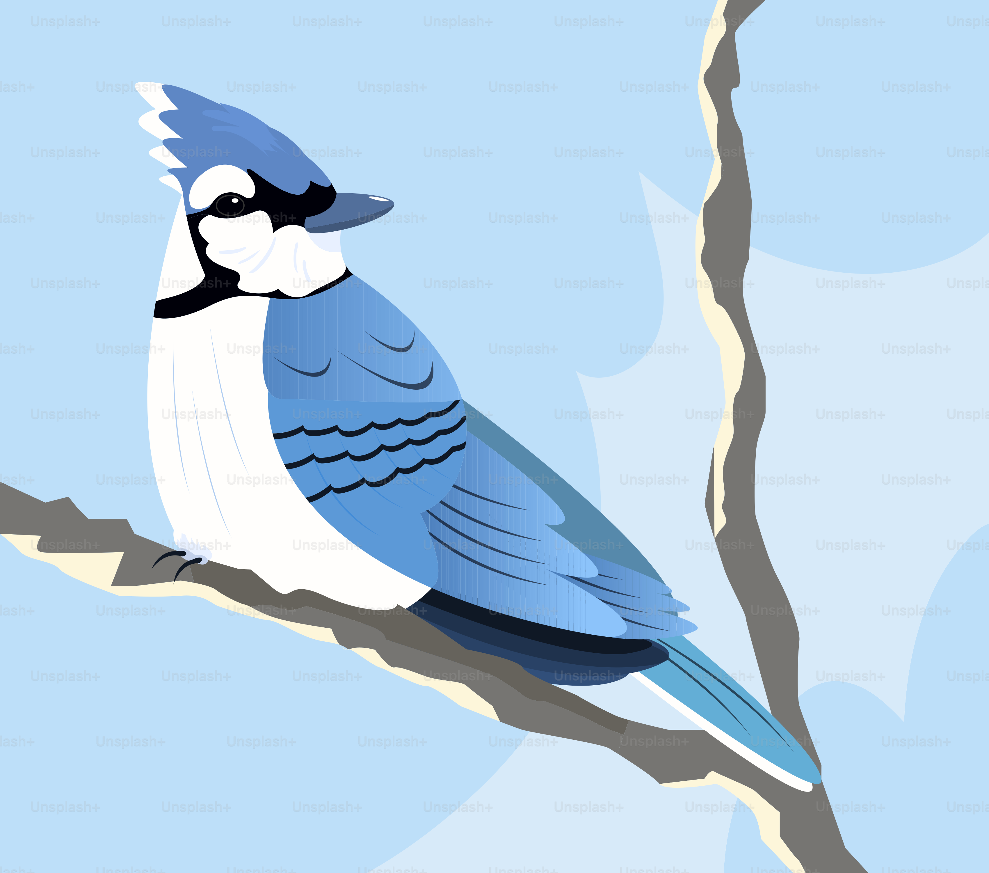 A blue bird sitting on top of a tree branch