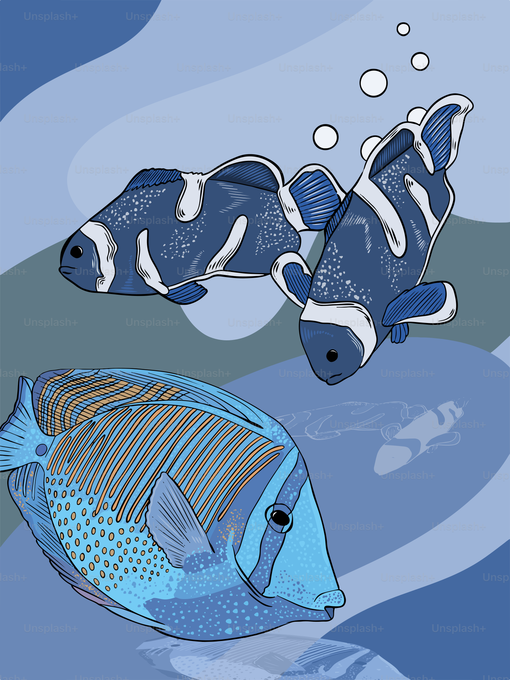 Ein paar blaue Fische, die nebeneinander schwimmen