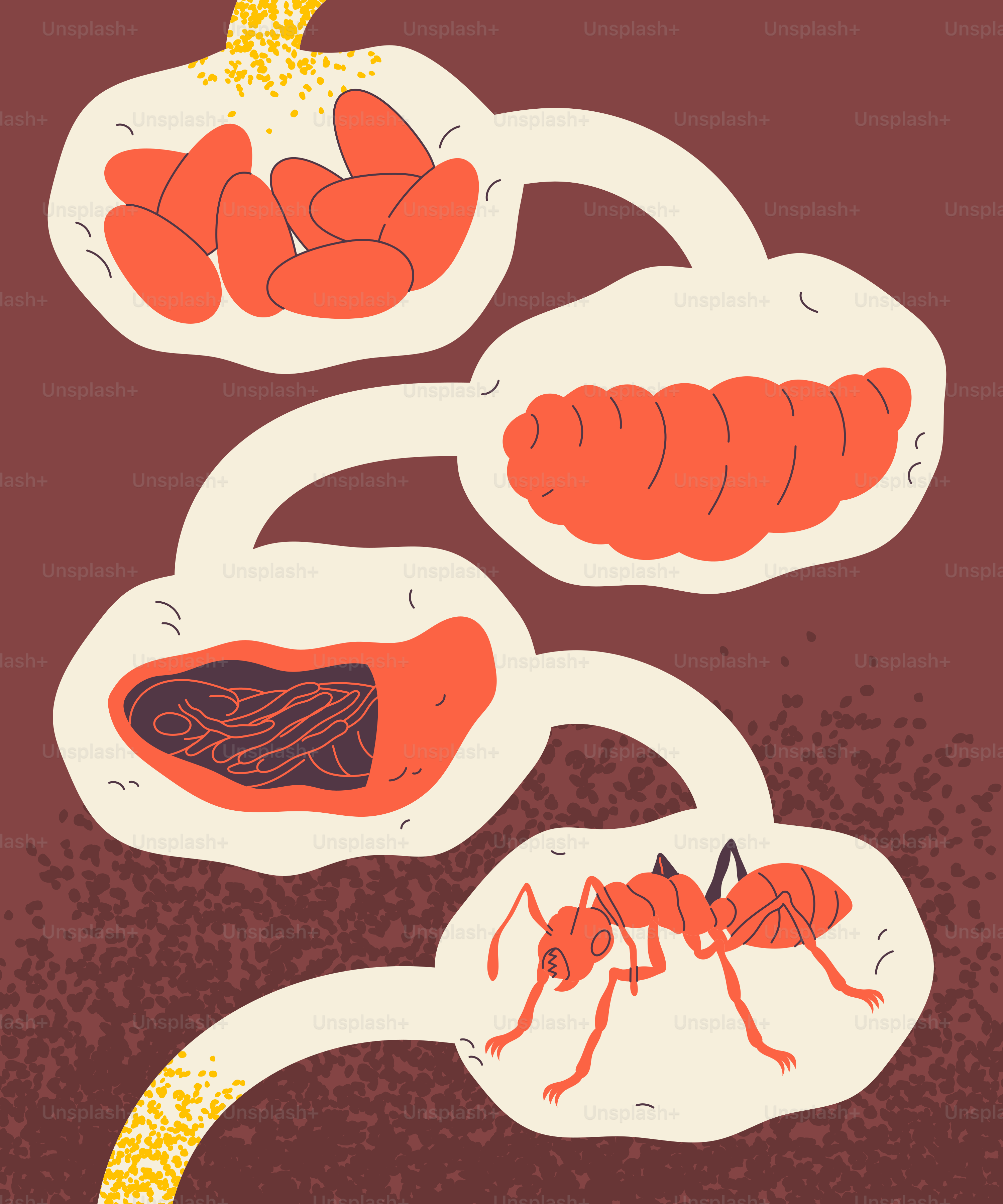 A drawing of a group of antelopes in a circle