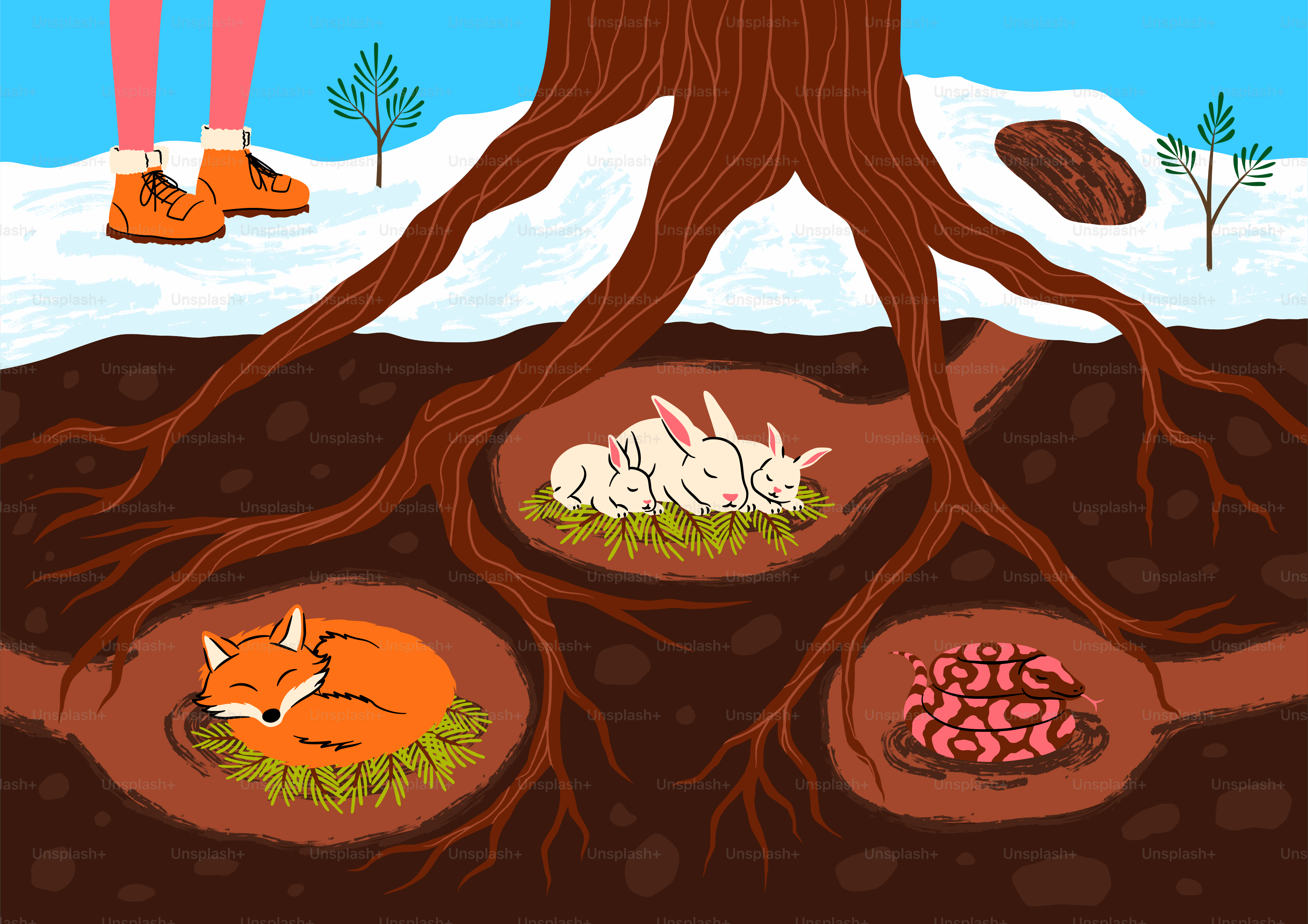 A person standing on top of a tree