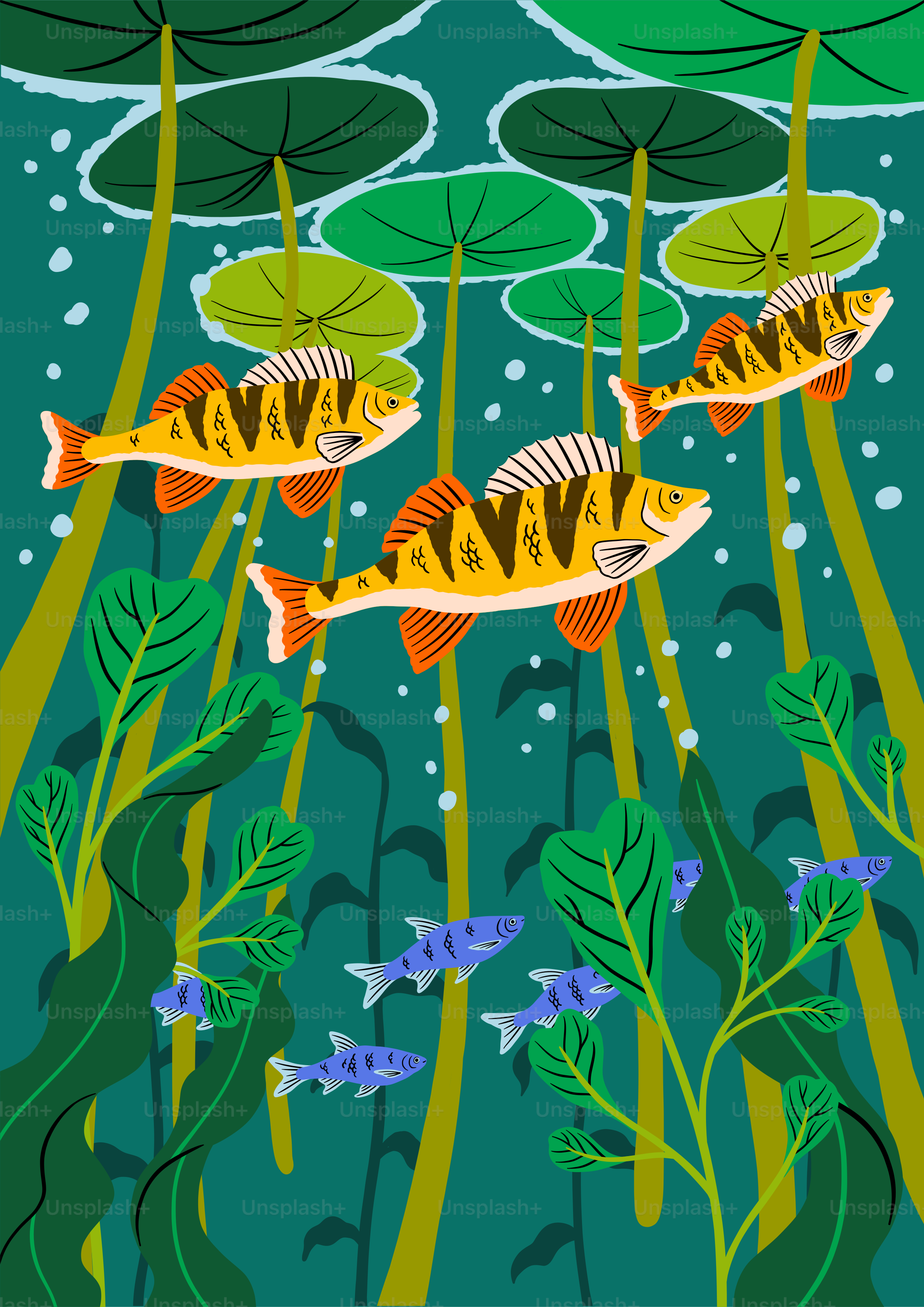 Une peinture de trois poissons nageant dans un étang