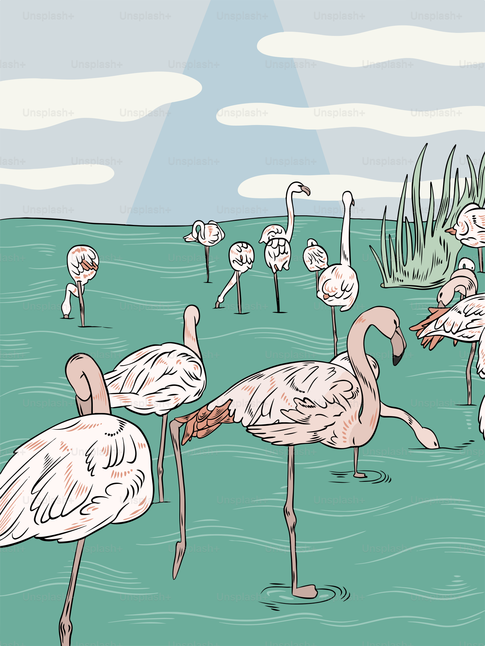 A flock of flamingos standing on top of a body of water