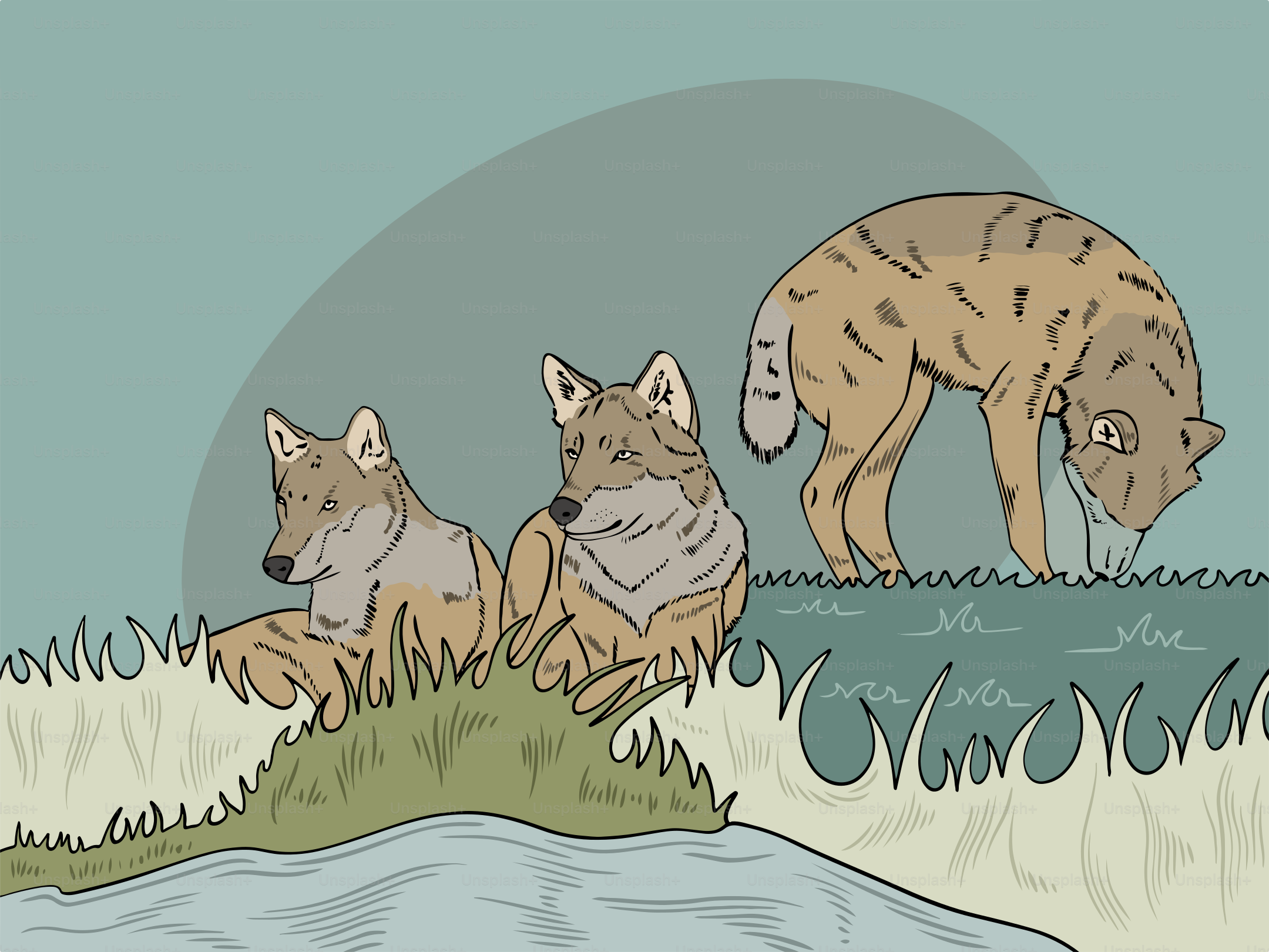 A couple of animals that are standing in the grass