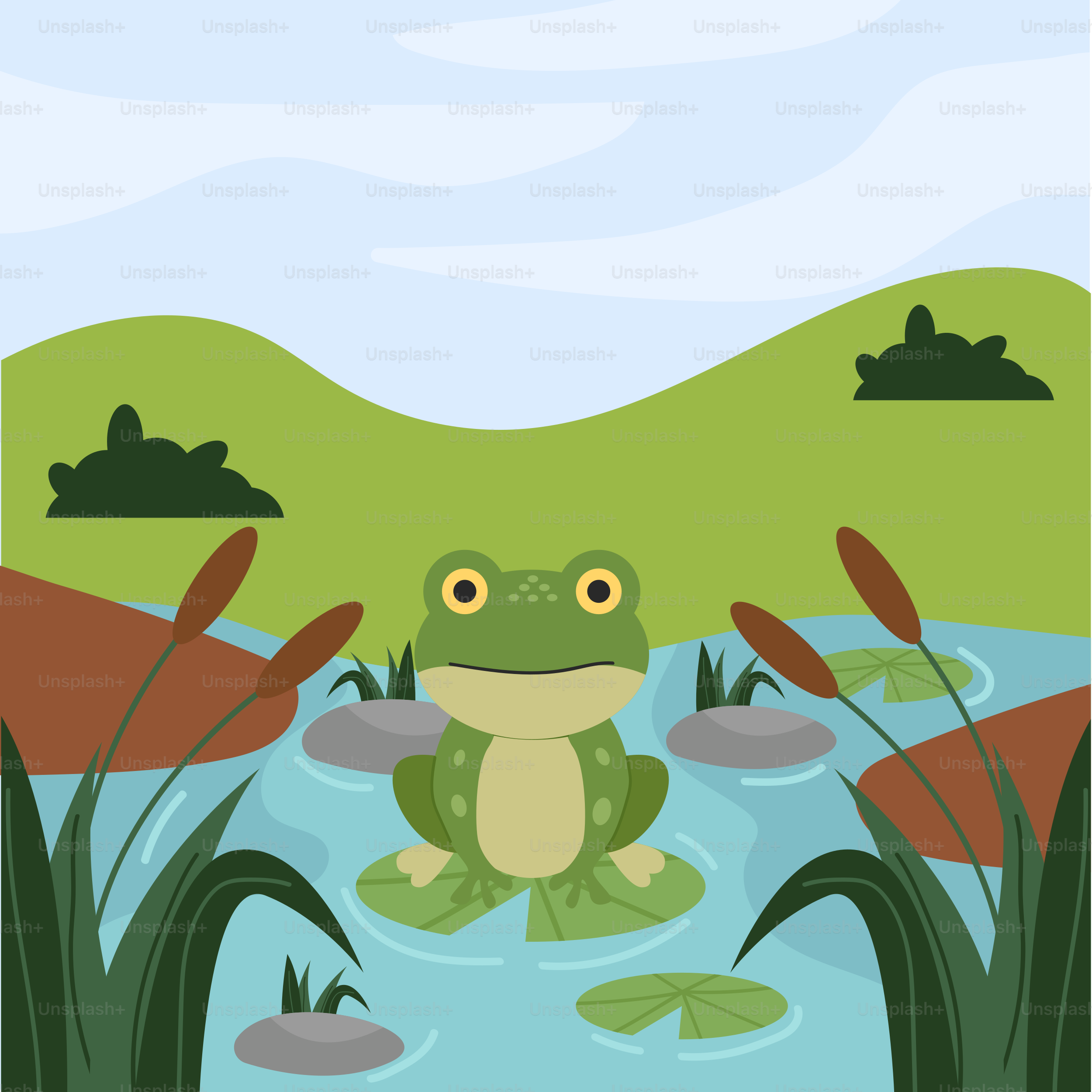 Une grenouille est assise dans un étang avec des nénuphars