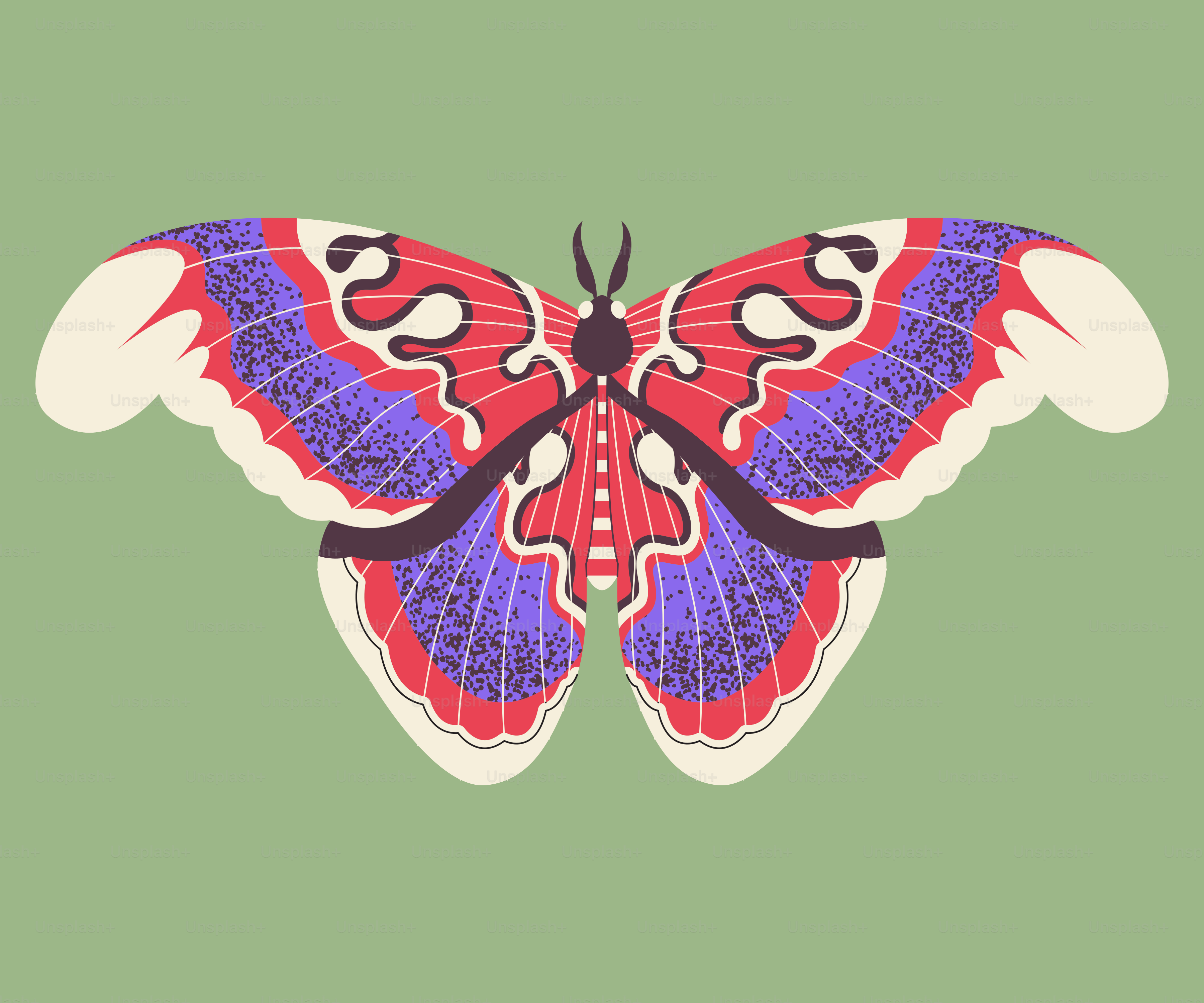 A colorful butterfly on a green background