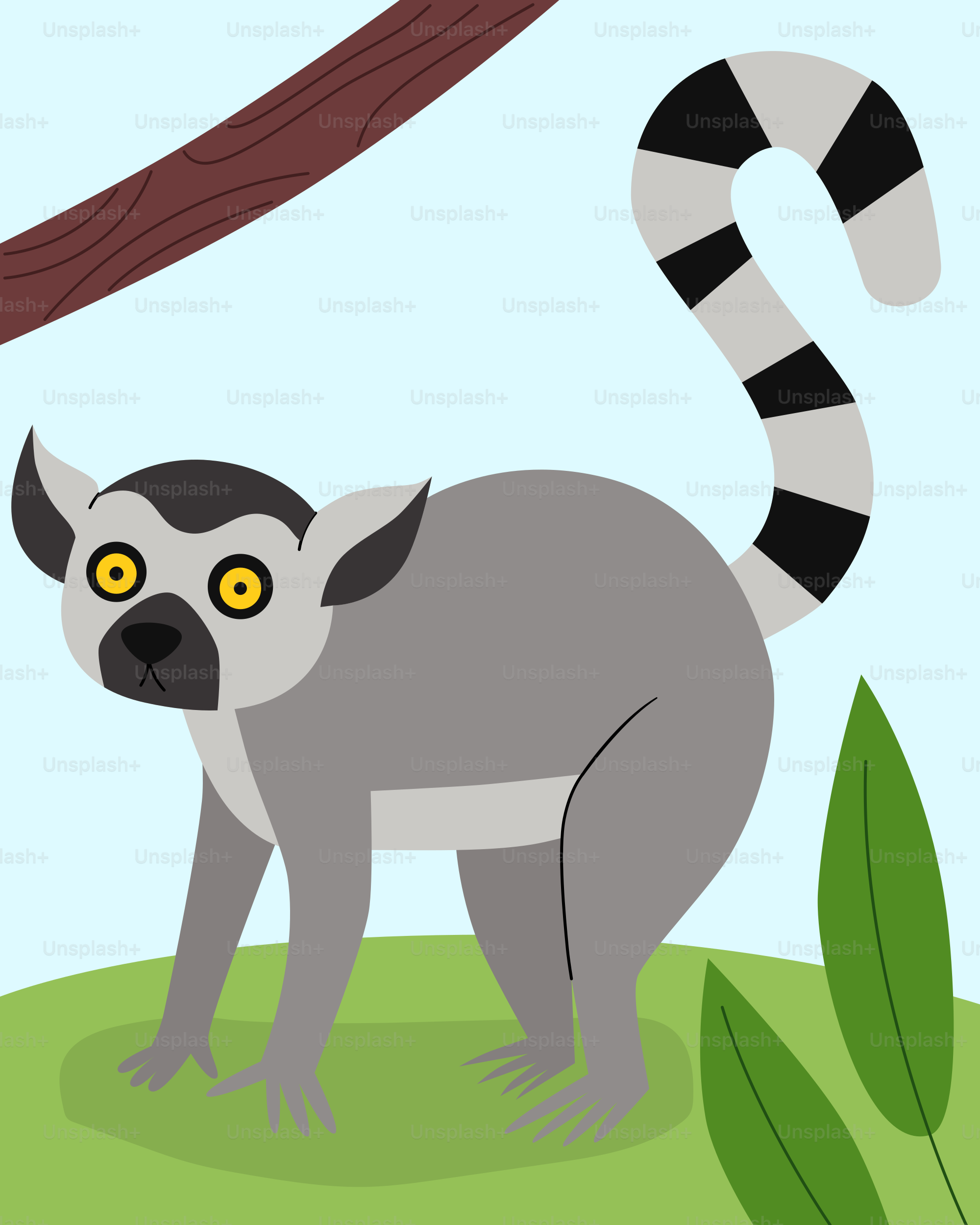 Seekor lemur berdiri di rerumputan di sebelah pohon