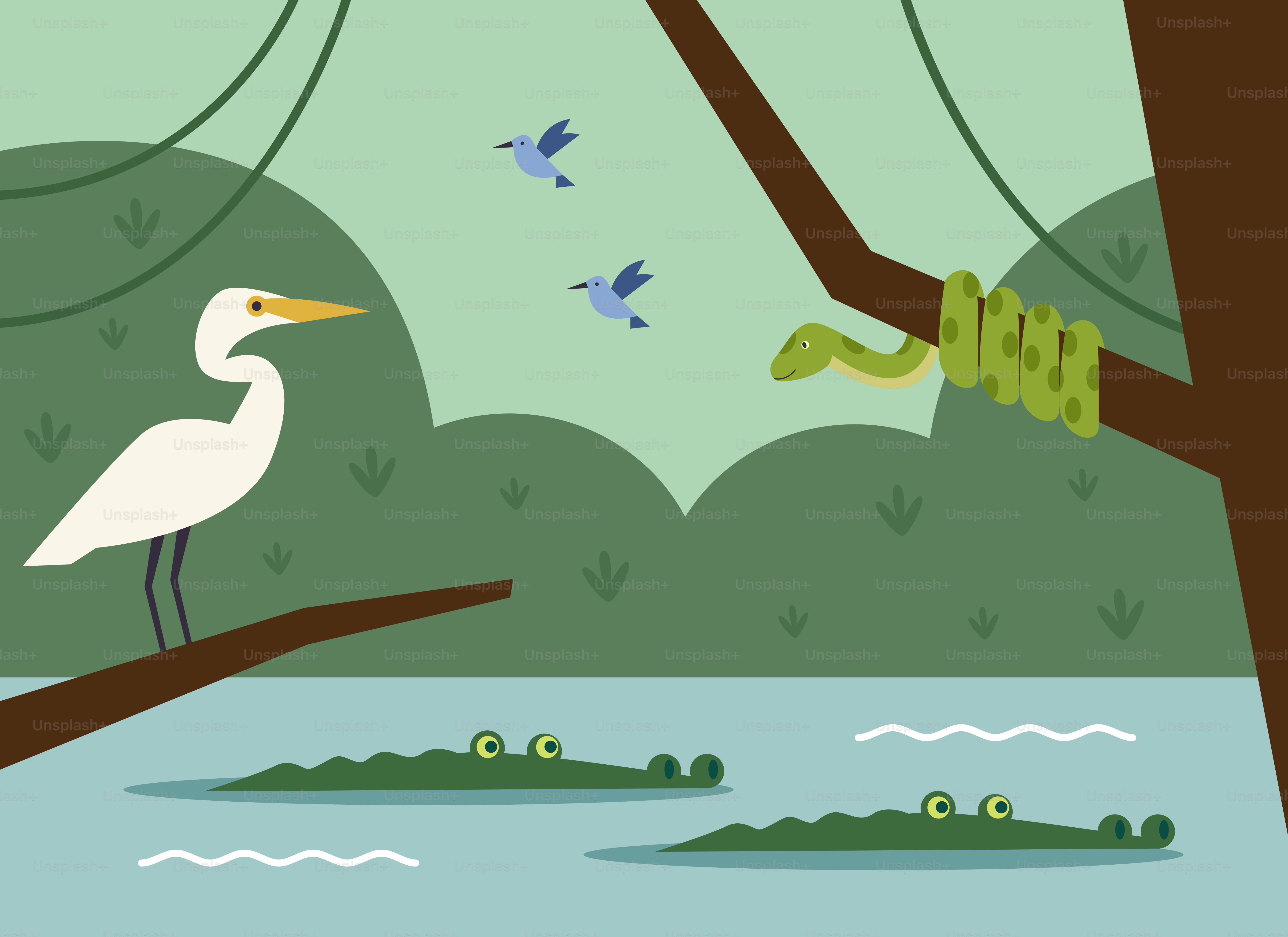 A bird sitting on a tree branch near a body of water