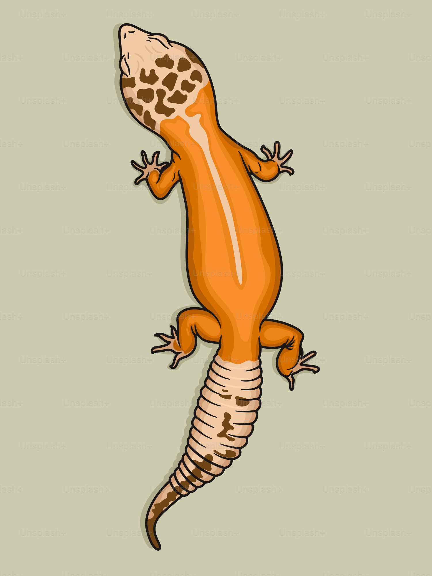 An orange and white lizard on a green background