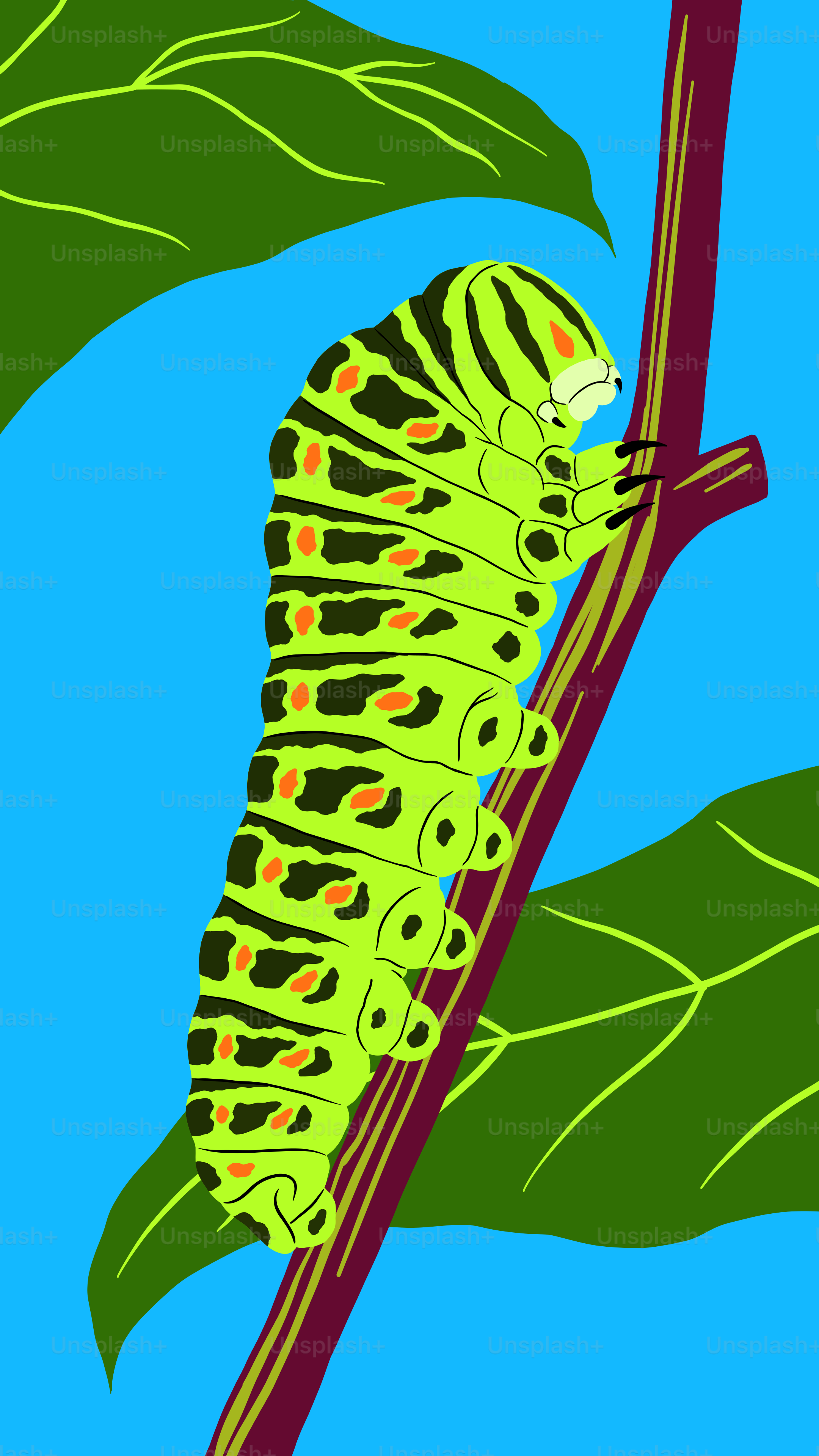 A green caterpillar sitting on top of a leaf