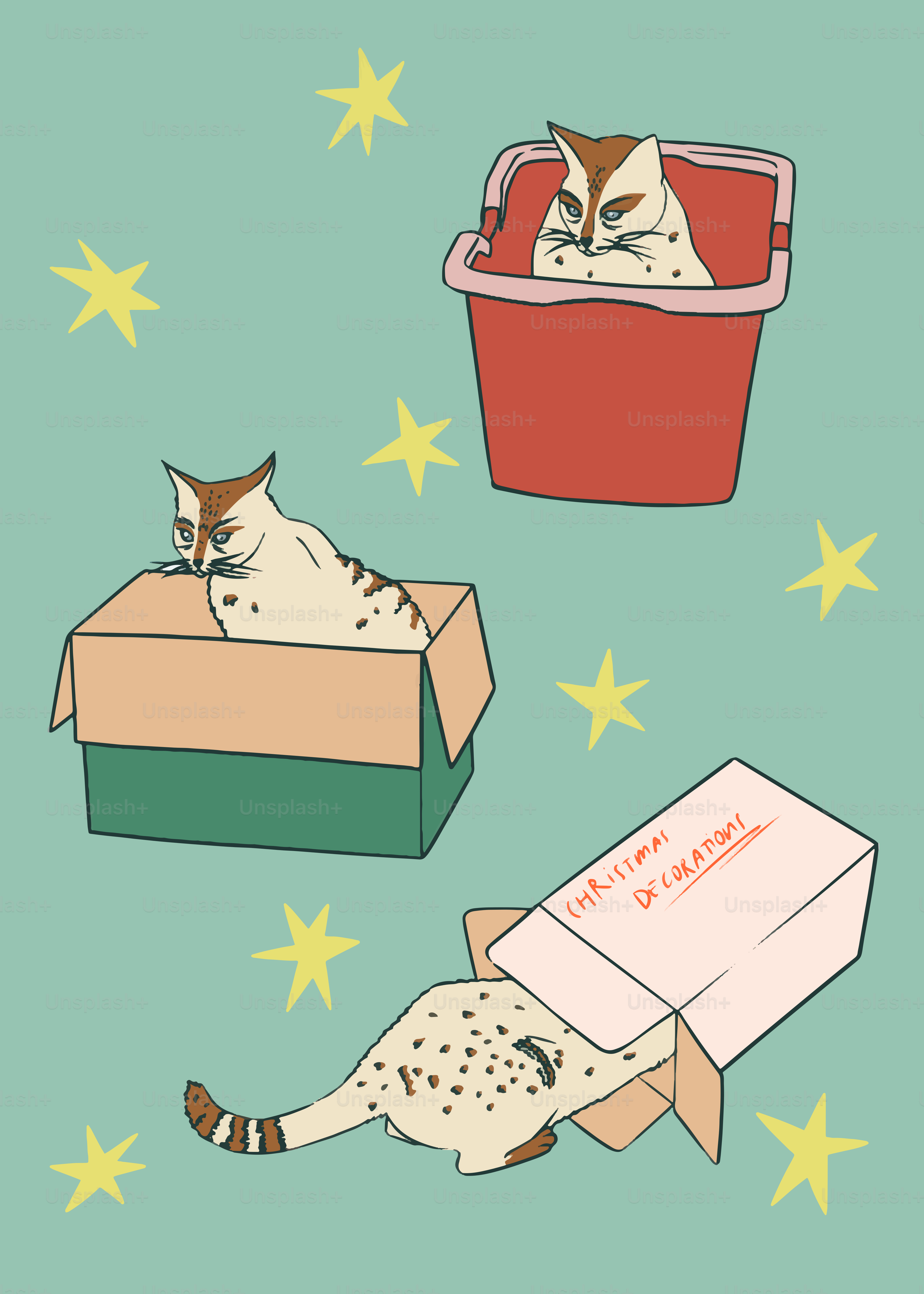 Three cats are laying in boxes on a blue background