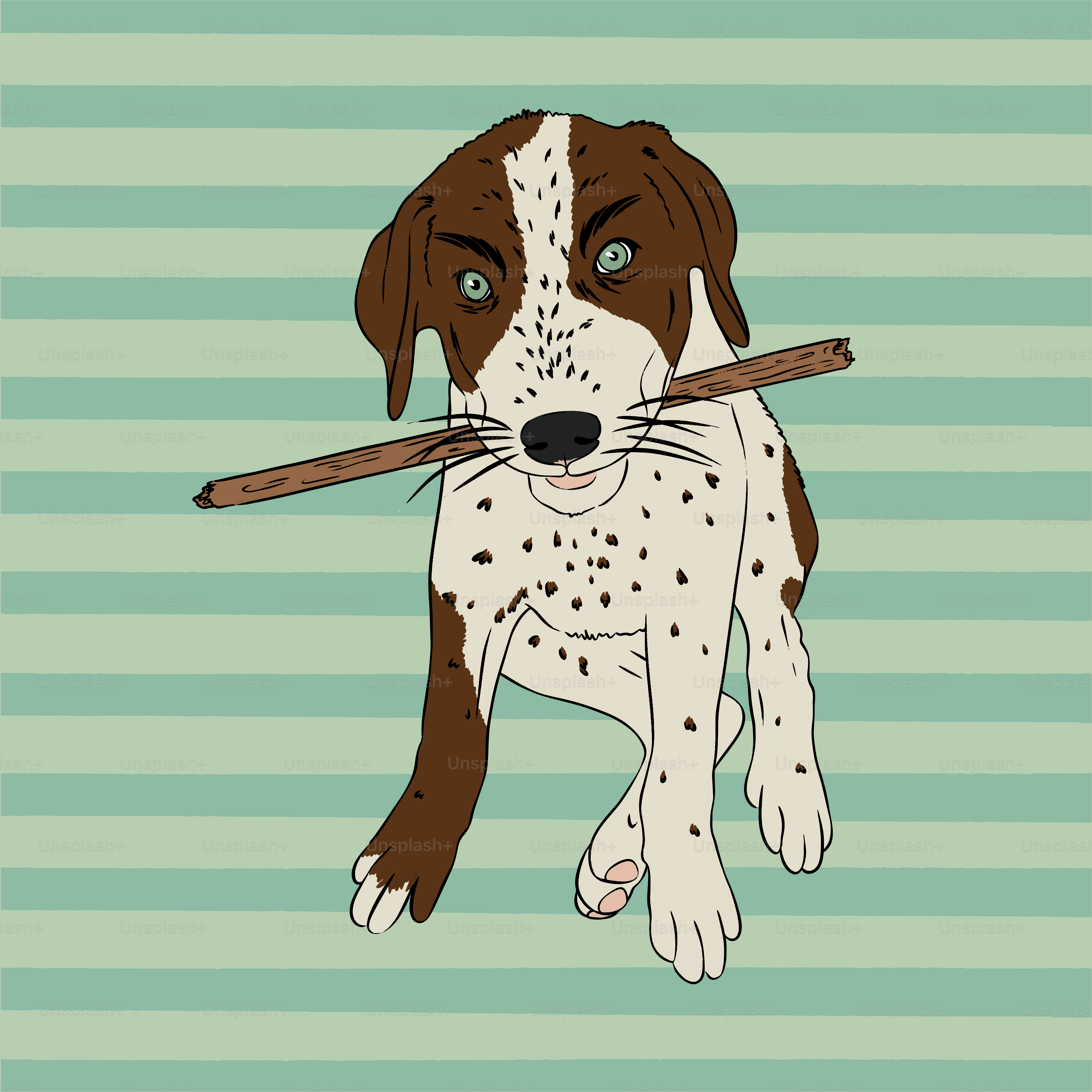 A brown and white dog with a stick in its mouth