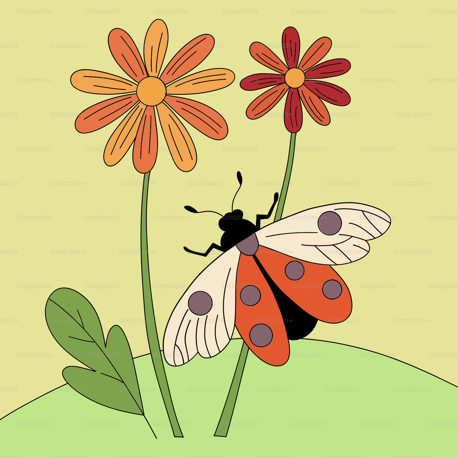 A lady bug sitting on top of a flower