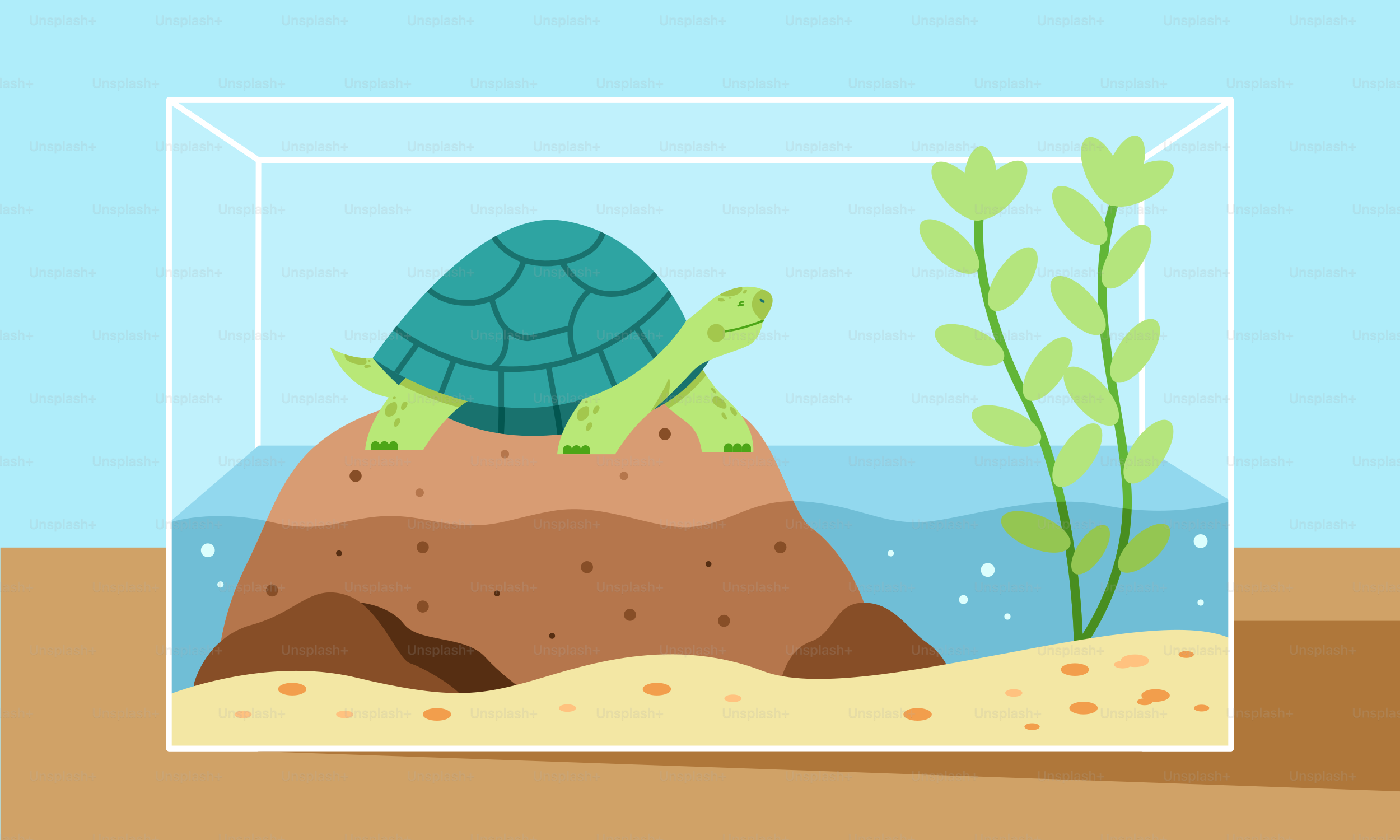 A picture of a turtle in a glass box