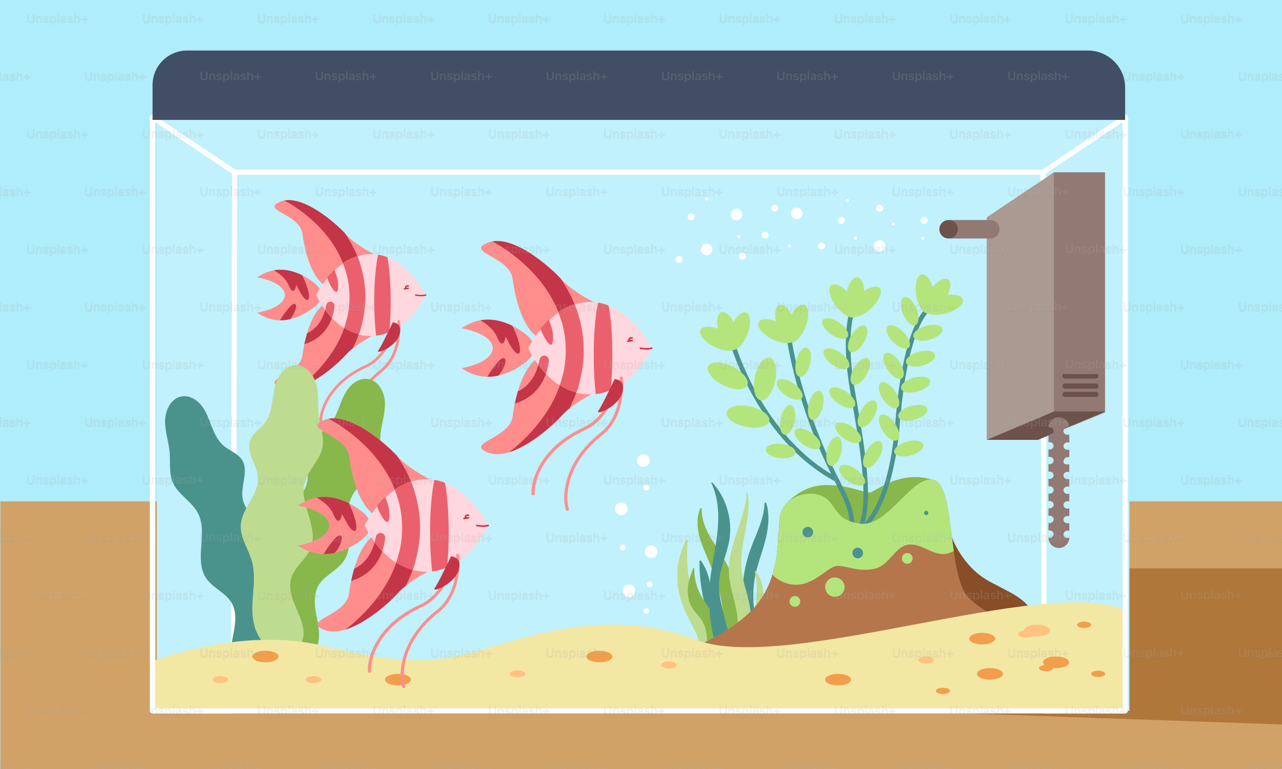 A fish tank filled with lots of different types of fish