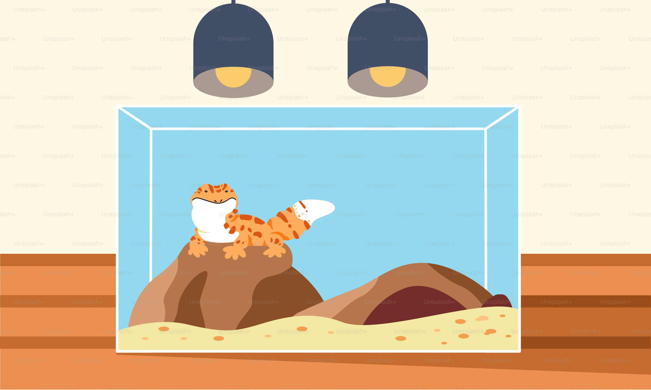 A picture of a cat in a glass case