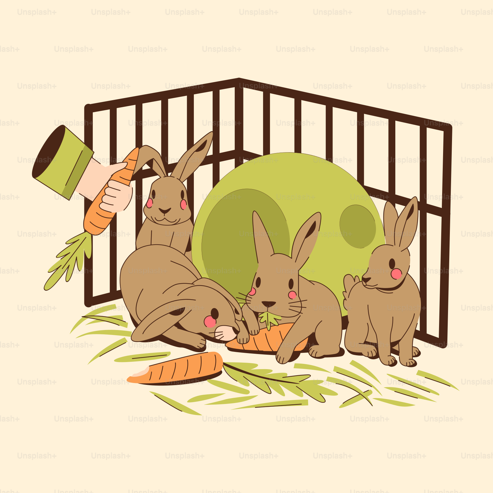 Un gruppo di conigli che mangiano carote in una gabbia vettoriale –  Immagine di Animale su Unsplash, image size:3000x3000