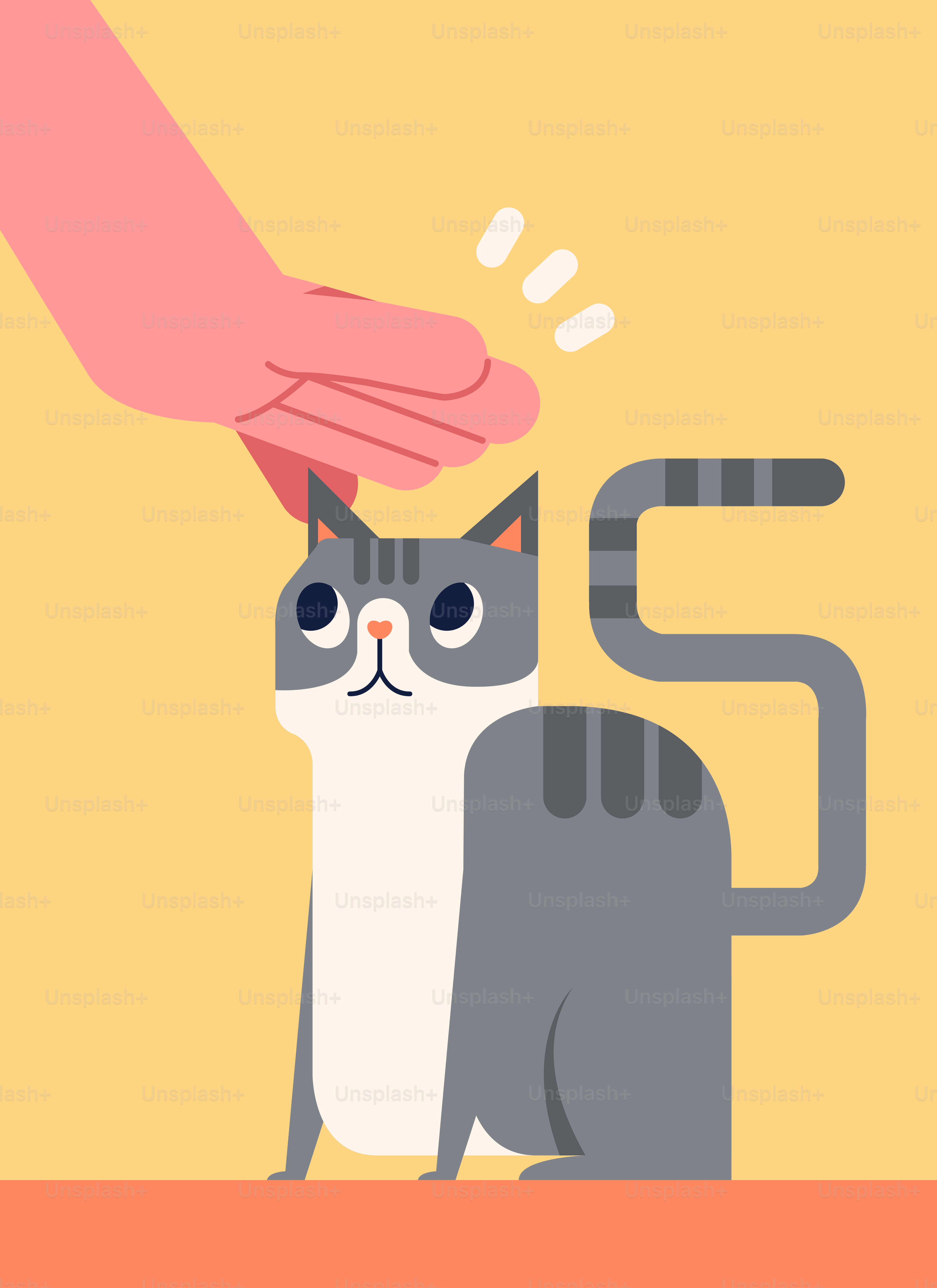 A hand touching a cat's head with its paw
