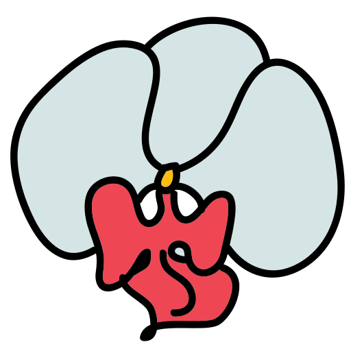 A drawing of a red flower with a white background