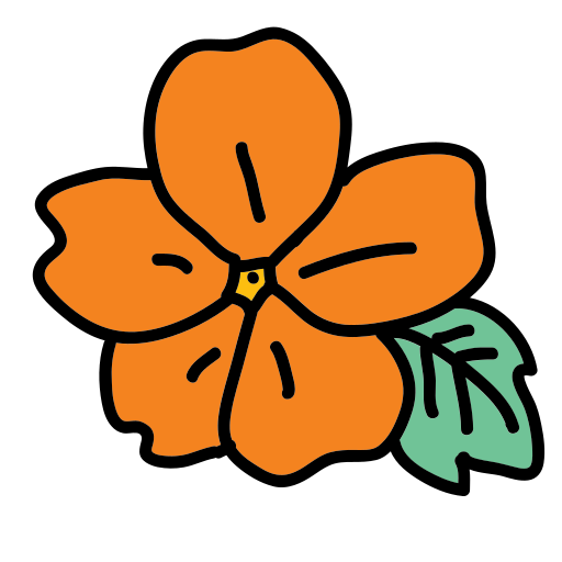 An orange flower with green leaves on a white background