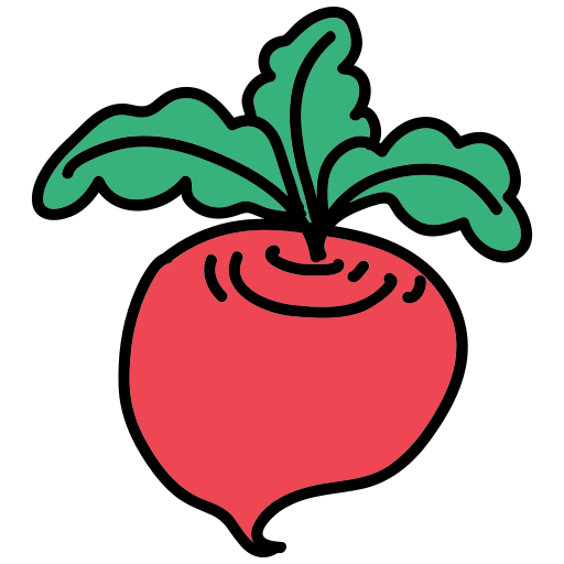 Ein roter Rettich mit grünen Blättern darauf