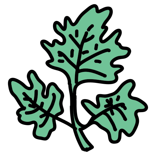 A drawing of a green leaf on a white background