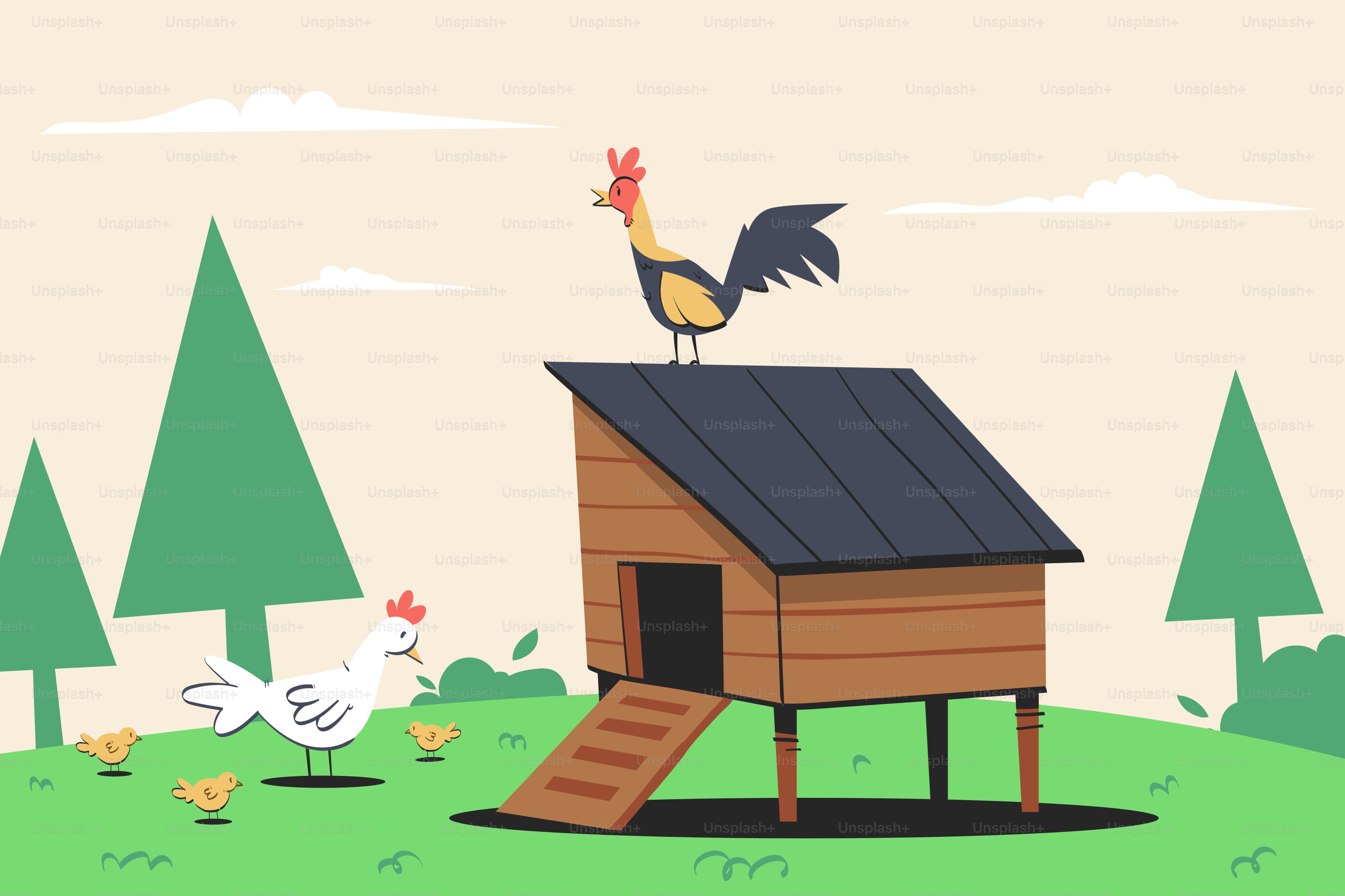Un pollaio con galline e un gallo sopra