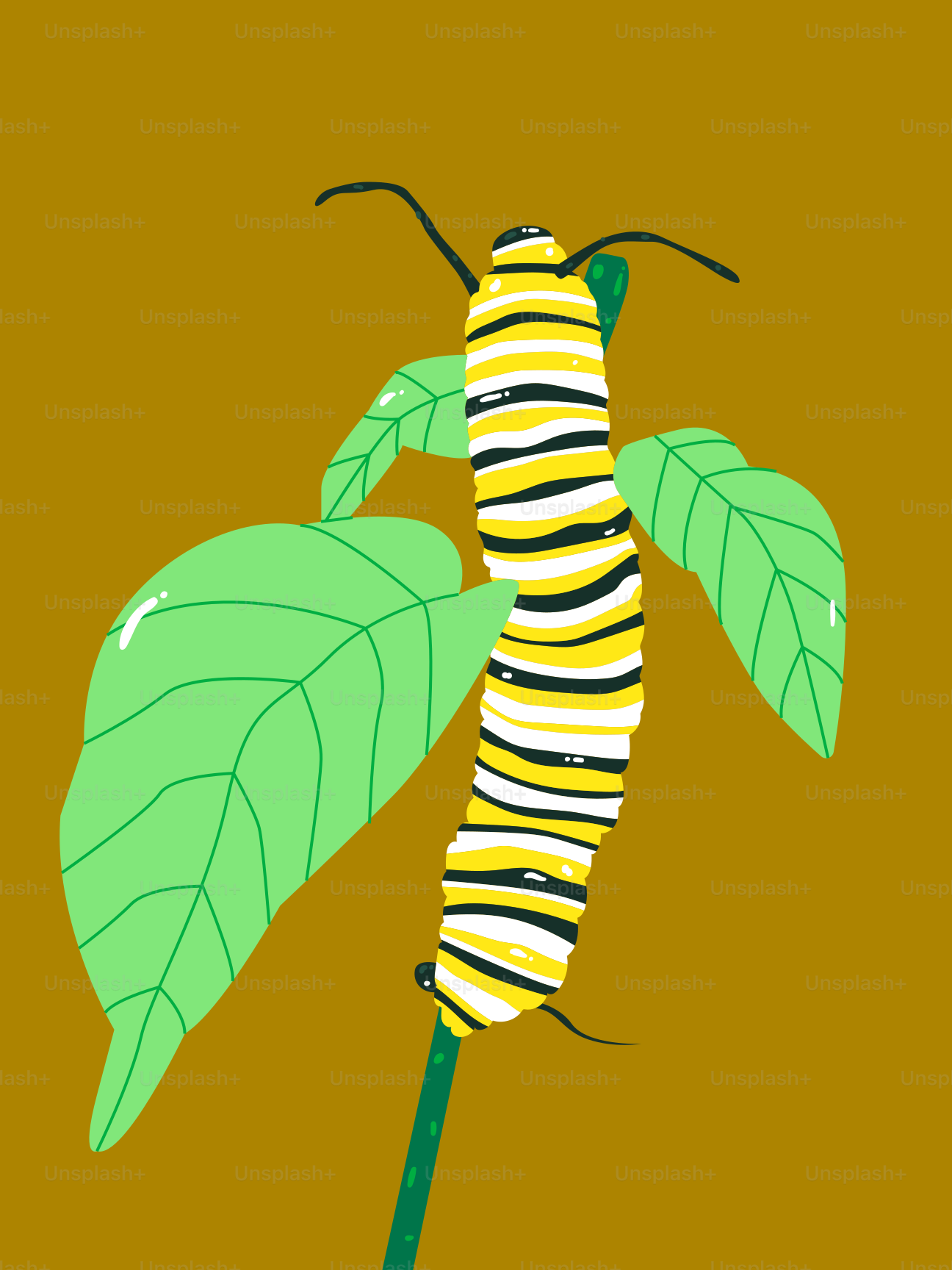 막대기에 꽂힌 애벌레 사진 벡터 – Unsplash의 그림 이미지, image size:3000x4000