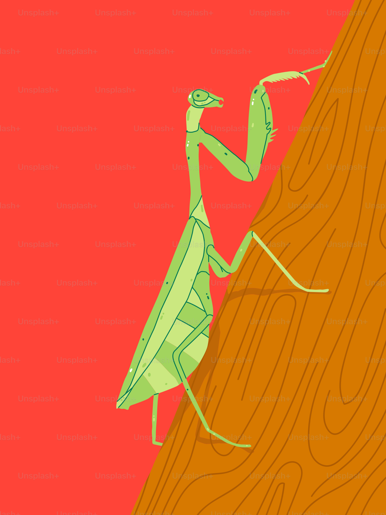 A green grasshopper is standing on a piece of wood
