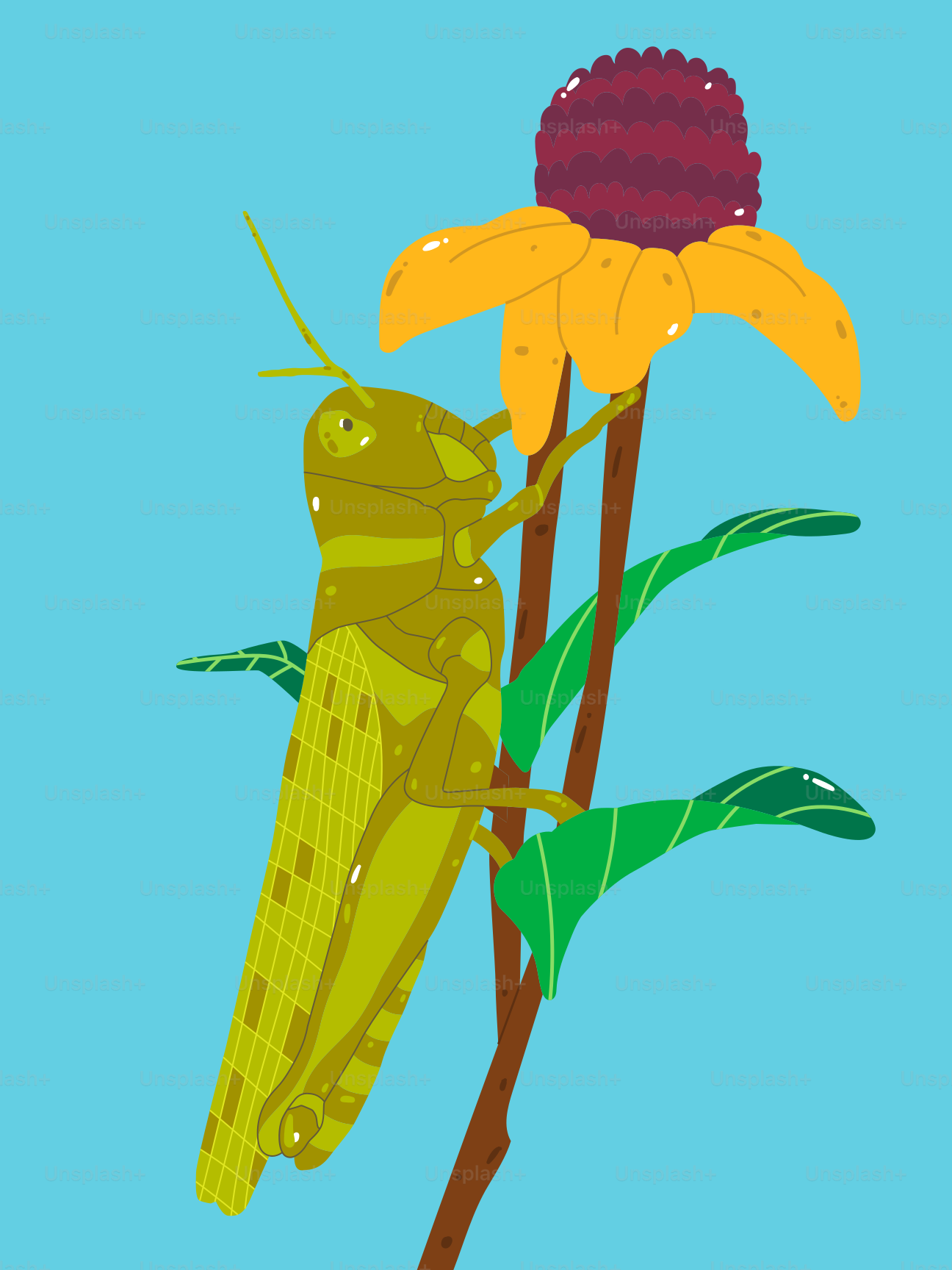A grasshopper on a flower with a blue background