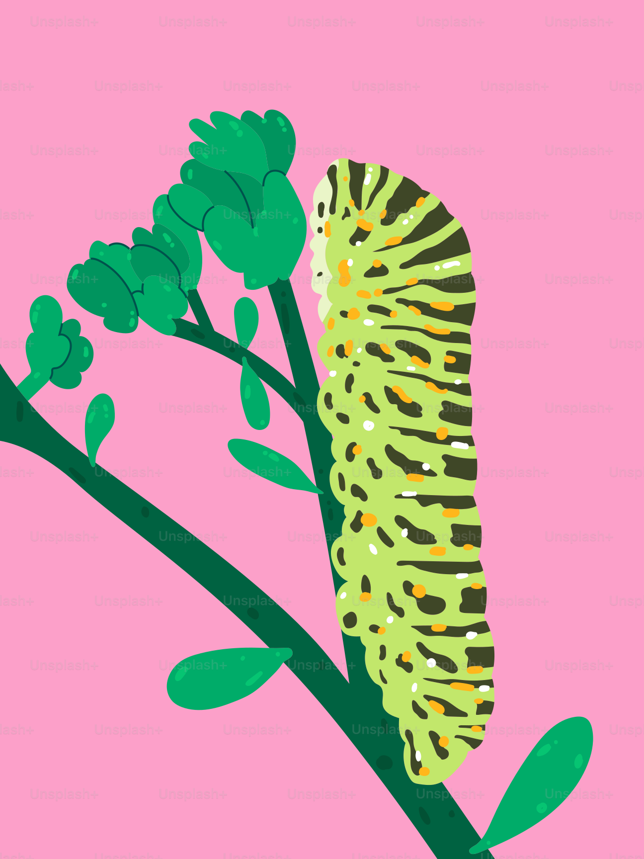 A picture of a flower on a pink background