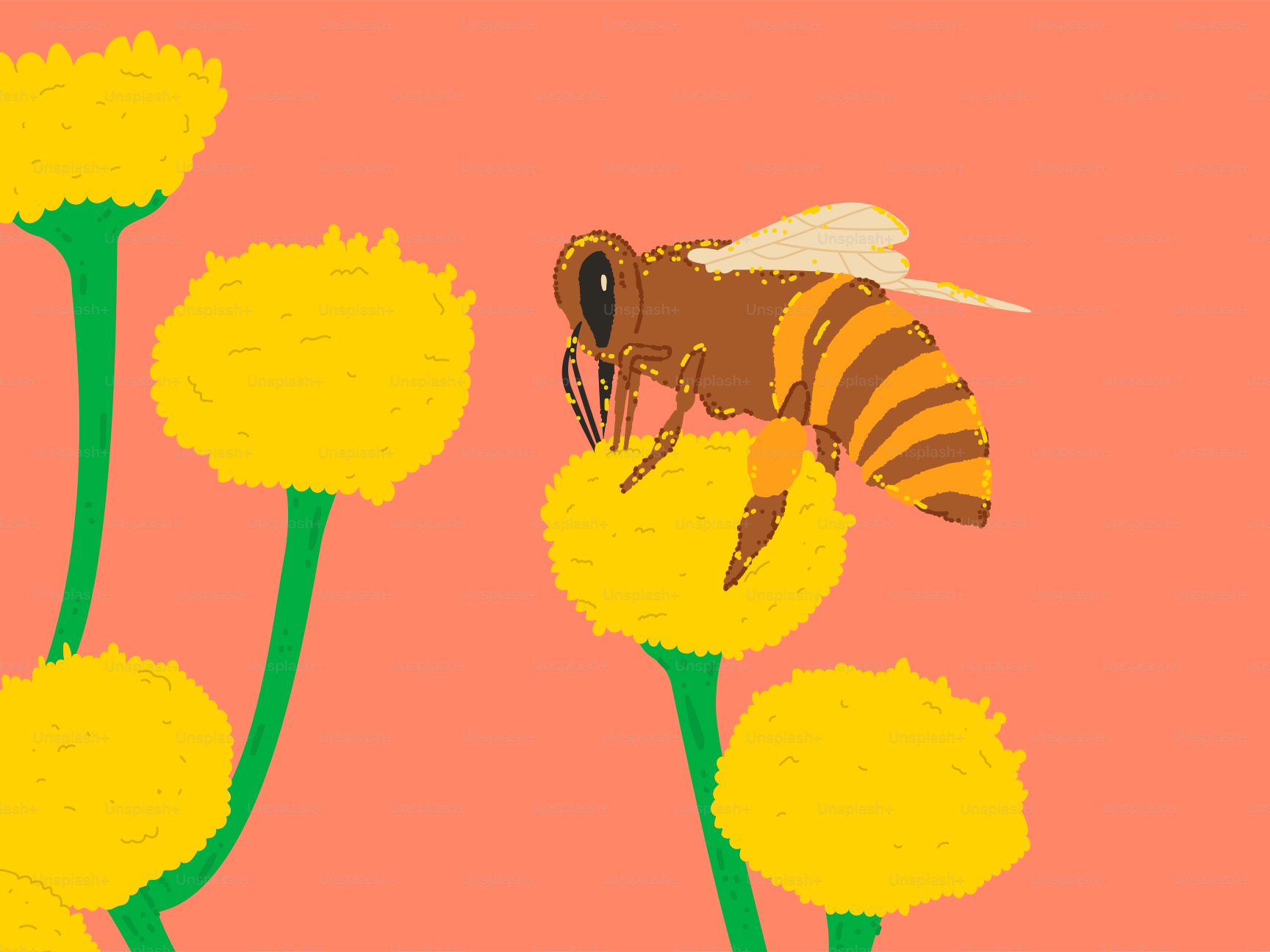 A picture of a bee on a flower
