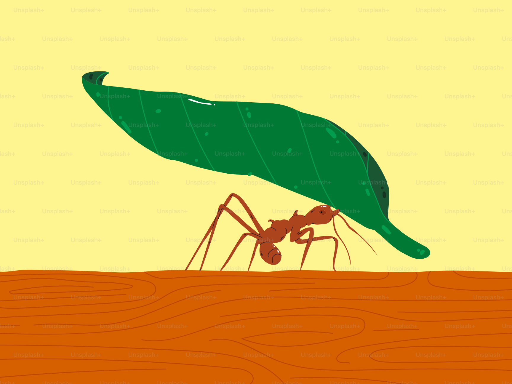 A picture of a green leaf on top of a red piece of wood