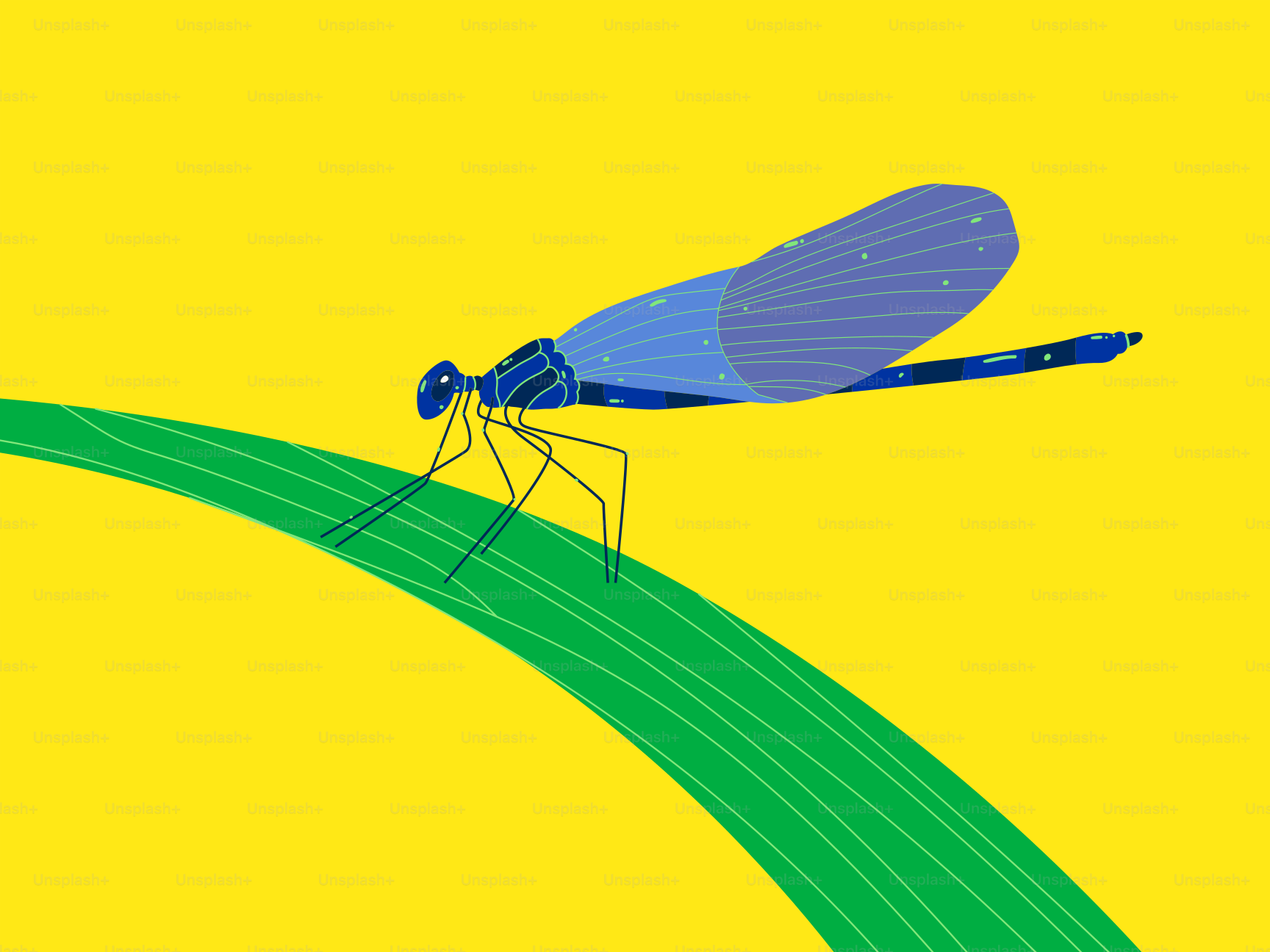 A blue insect sitting on top of a green leaf